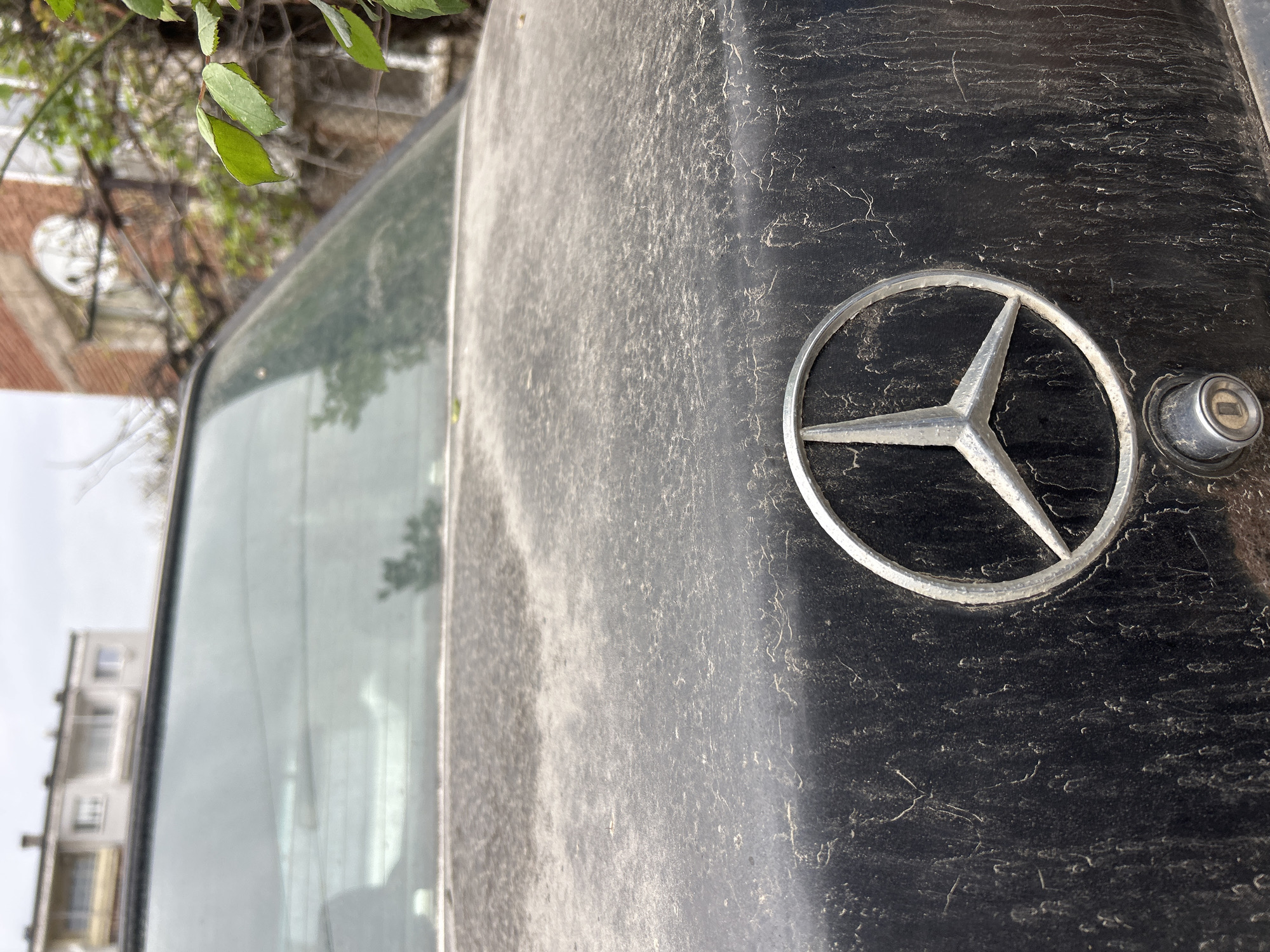 The image presents a close-up, angled view of the rear of a black Mercedes-Benz car, specifically focusing on the trunk lid and a segment of the rear window. The car's surface is heavily blanketed in a fine, light-colored layer of dust, which forms intricate, swirling patterns across the dark paint, indicating prolonged exposure to outdoor elements.
A prominent feature on the right side of the trunk lid is the silver Mercedes-Benz logo, depicting a three-pointed star enclosed within a circle. This emblem, along with a circular metallic keyhole or lock cylinder to its right, also shows dust accumulation.
In the upper left background, blurred green leaves and branches from a tree or bush are visible. Through the car's rear window, reflections reveal parts of the external environment, including a blurry multi-story residential building with visible windows and balconies, beneath what appears to be an overcast sky. The lighting suggests it is daytime. The scene takes place in Plovdiv, Bulgaria. No individuals or discernible activities are present, and no explicit text is visible apart from the car's symbolic emblem.