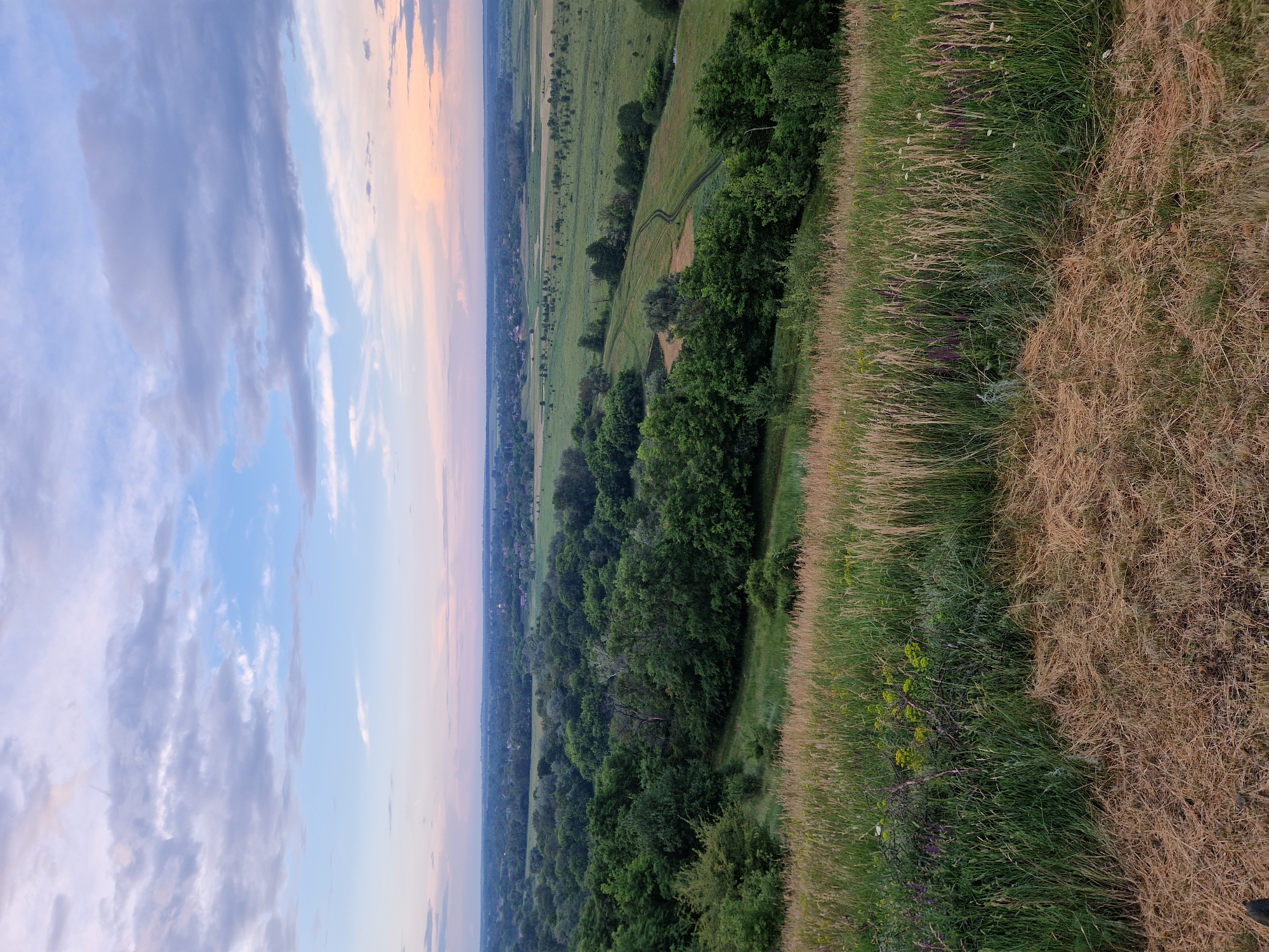 The image depicts a panoramic view of a rural landscape, likely taken from an elevated position, overlooking a valley and distant horizon under a cloudy sky. The foreground features dry, golden grass and taller green vegetation interspersed with small wildflowers. Descending into the midground, a dense forest of various green trees occupies the lower left portion of the frame, with a clearing to the right revealing a wide, green field. Within this field, a faint, winding dirt track is visible, curving through the landscape. The background extends to a hazy, flat expanse of fields and scattered trees, with faint signs of human settlement, possibly including rooftops and a small structure resembling a church spire, suggesting the presence of a village or town. The sky is filled with a mix of soft blue and pale pink clouds, indicative of either dawn or dusk. The overall scene conveys a sense of natural tranquility and the vastness of the countryside. The location is Ustyvytsia, Ukraine.