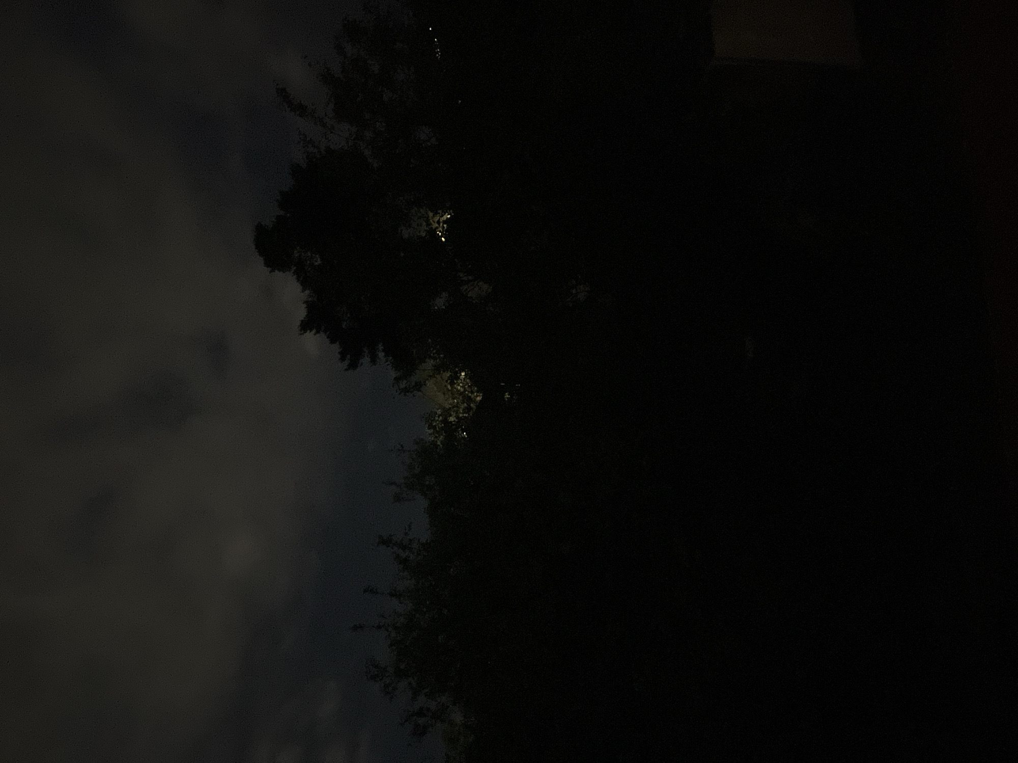 The image depicts an outdoor night scene characterized by low light and a predominantly dark palette. The upper third of the frame shows an overcast sky, with dark gray clouds subtly illuminated. Below the sky, the landscape is dominated by dense, silhouetted foliage from trees and bushes, obscuring much of the background. Through gaps in the dark canopy, several faint, diffused yellowish lights are visible, indicating distant artificial illumination. The immediate foreground and lower areas are in deep shadow, with the bottom right corner revealing a faint, rectangular, lighter-toned patch, possibly a structural element. No individuals, discernible objects beyond the natural environment, or specific actions are present. The visual evidence within the image does not contain specific identifiers to determine its location as Chaikovsky, Russia.