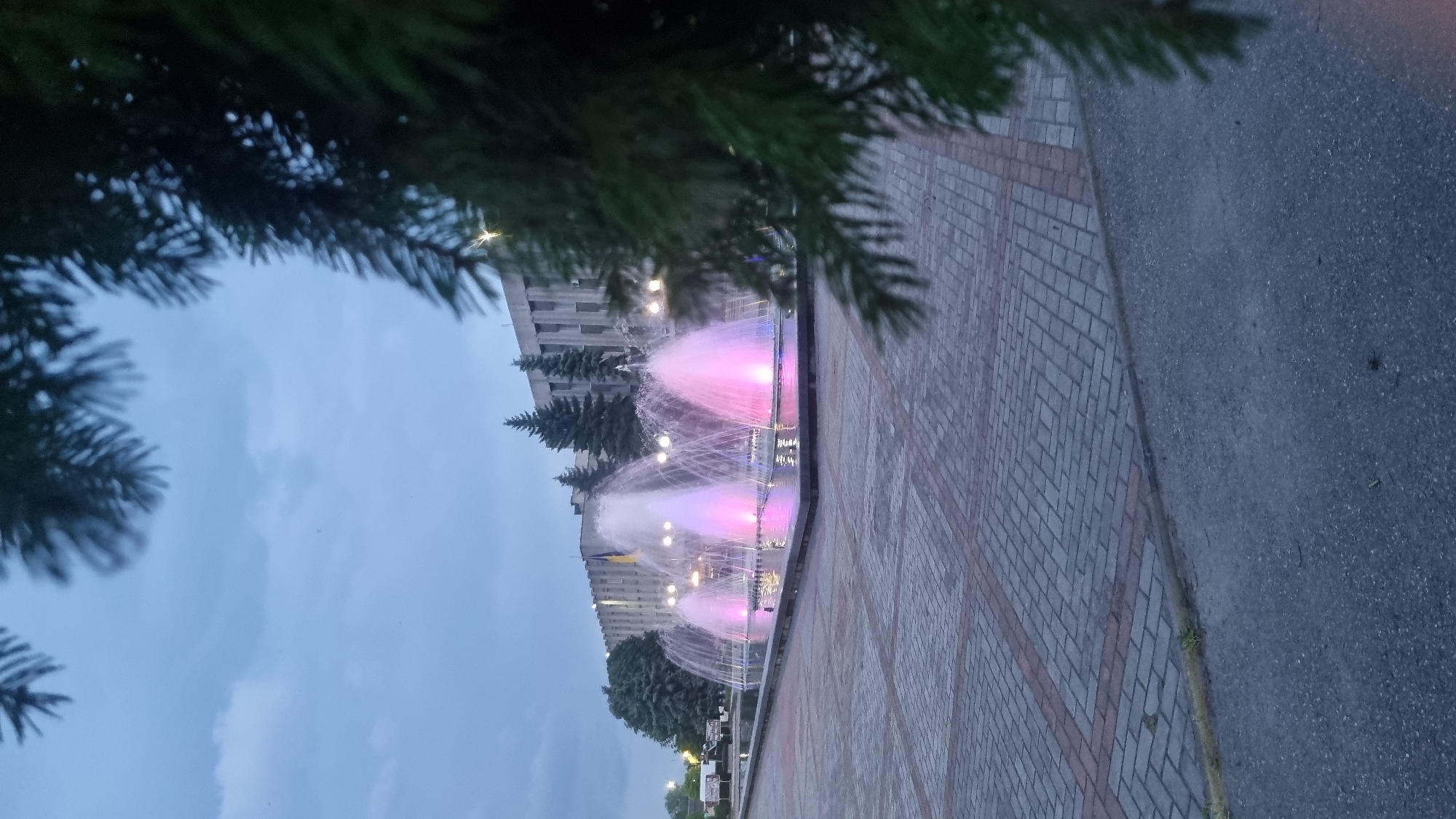 In the city of Smila, Ukraine, a multi-tiered fountain illuminated with pink and blue lights is active in front of a grey, rectangular building. The fountain consists of several streams of water shooting upwards, some of which are illuminated with a pink hue, while others have a bluish tint. The building behind the fountain is of modern architecture with visible windows and columns. Several dark green trees are planted in front of the building. A Ukrainian flag is visible on a flagpole in front of the building. The ground in front of the fountain is paved with interlocking grey and reddish-brown bricks. A dark asphalt road runs along the lower right edge of the frame, and a portion of a dark green coniferous tree with long needles is in the foreground, obscuring the right side of the image. The sky above is overcast and appears to be twilight.