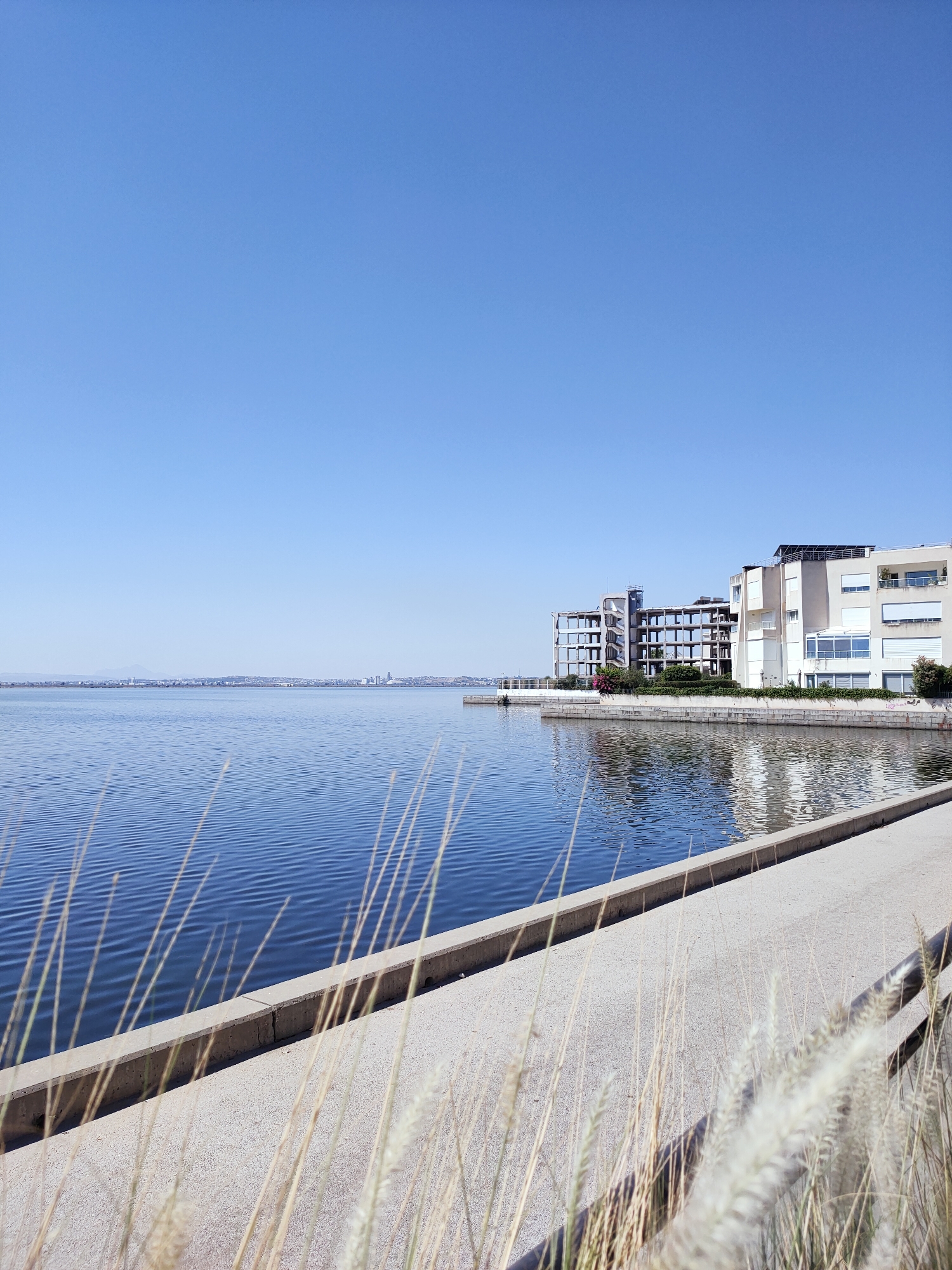 The image depicts a waterfront scene in Tunis, Tunisia, likely in the area of Lac 2. In the foreground, dry grass stalks obscure a concrete walkway that slopes gently towards the water. The water itself is calm with a rippled surface reflecting the clear blue sky. Across the water, a modern building complex with multiple levels and balconies is visible, featuring a mix of white and grey facades. One part of the building appears to be under construction, with exposed concrete framework. The distant horizon shows a hazy cityscape under a cloudless sky. The overall impression is one of a bright, sunny day in a developed urban waterfront environment.