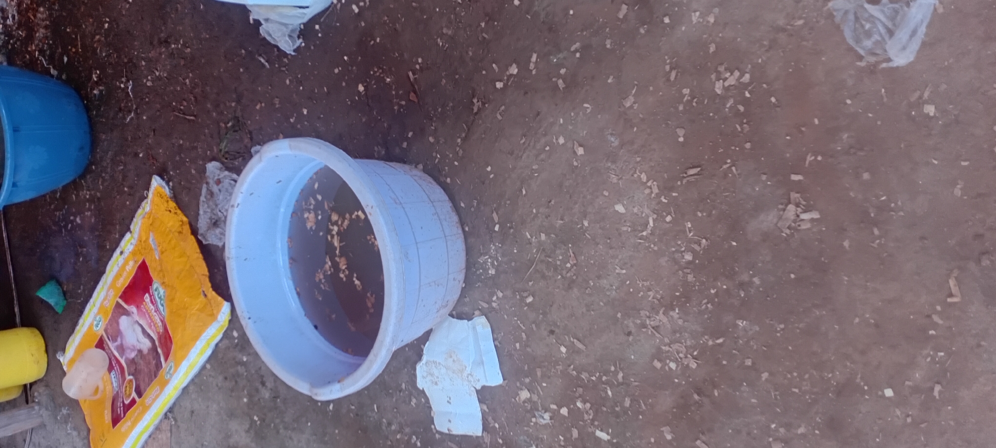 In the city of Kijabe ward, Kenya, the image depicts an outdoor scene on a dirt ground scattered with wood shavings and debris. A large, light blue plastic basin, partially filled with murky water and small floating particles, is centrally located. To the left of the basin, a white plastic cup rests on a torn yellow and red bag, possibly containing animal feed, as indicated by the text "Grain Puli" visible on it. Behind the bag, a green sponge lies on the ground. In the background, a blue plastic tub is partially visible. White plastic bags are also present in the scene, one to the left of the basin and another in the lower right corner. The overall impression is one of a utilitarian or possibly agricultural setting.