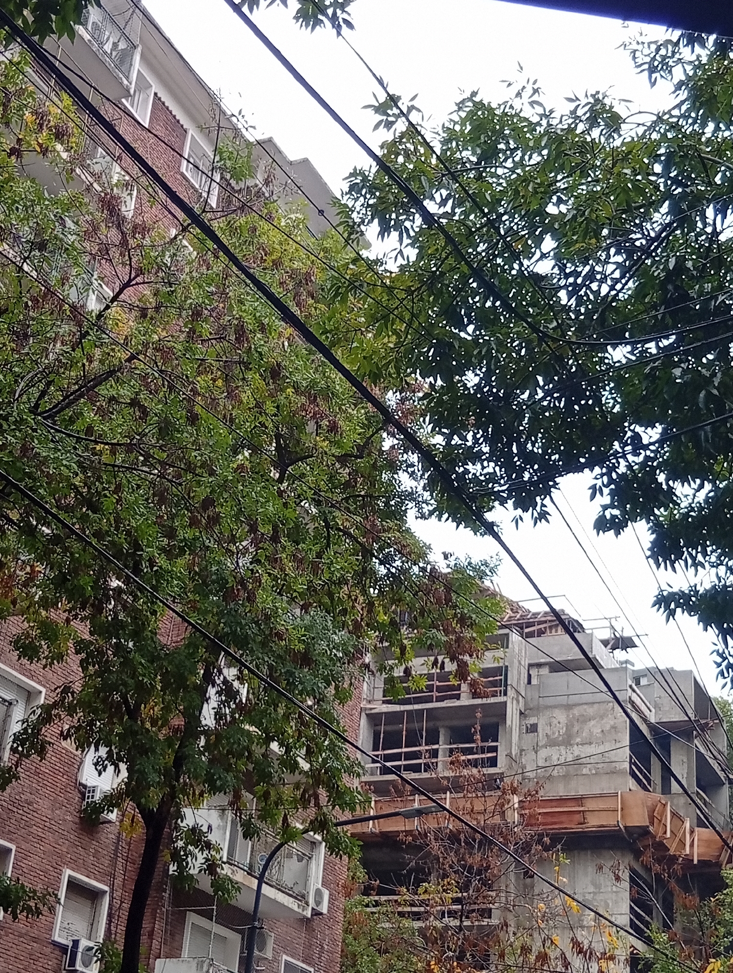 The image shows an urban scene with two buildings in Buenos Aires, Argentina. On the left is an older brick building with white window frames and visible air conditioning units. On the right, a modern concrete building under construction, displaying exposed wooden framework. Trees with green foliage partially obscure both buildings, with utility lines running across the frame. The sky is overcast. No people are visible.