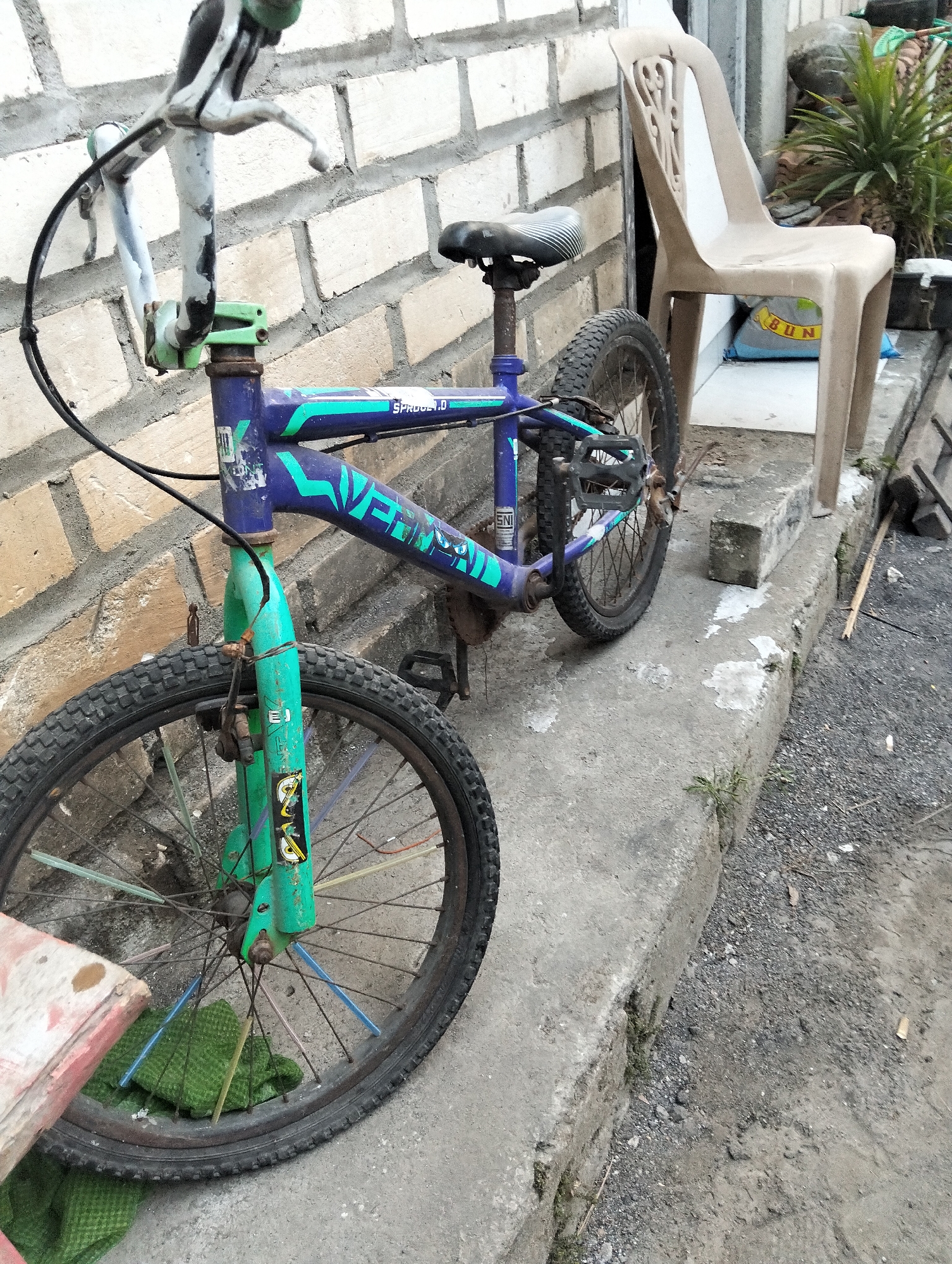 The image shows a weathered BMX bicycle leaning against a brick wall in Paciran, Indonesia. The bicycle is purple and green, with visible wear and tear on the frame and handlebars. It has a black seat and tires, and a green front fork with stickers. The bicycle is parked on a concrete surface next to a light brown plastic chair. The background consists of a brick wall, a part of a building, and some plants. The ground is a mix of gravel and dirt. The scene appears to be an outdoor area, possibly a residential or public space in a town.