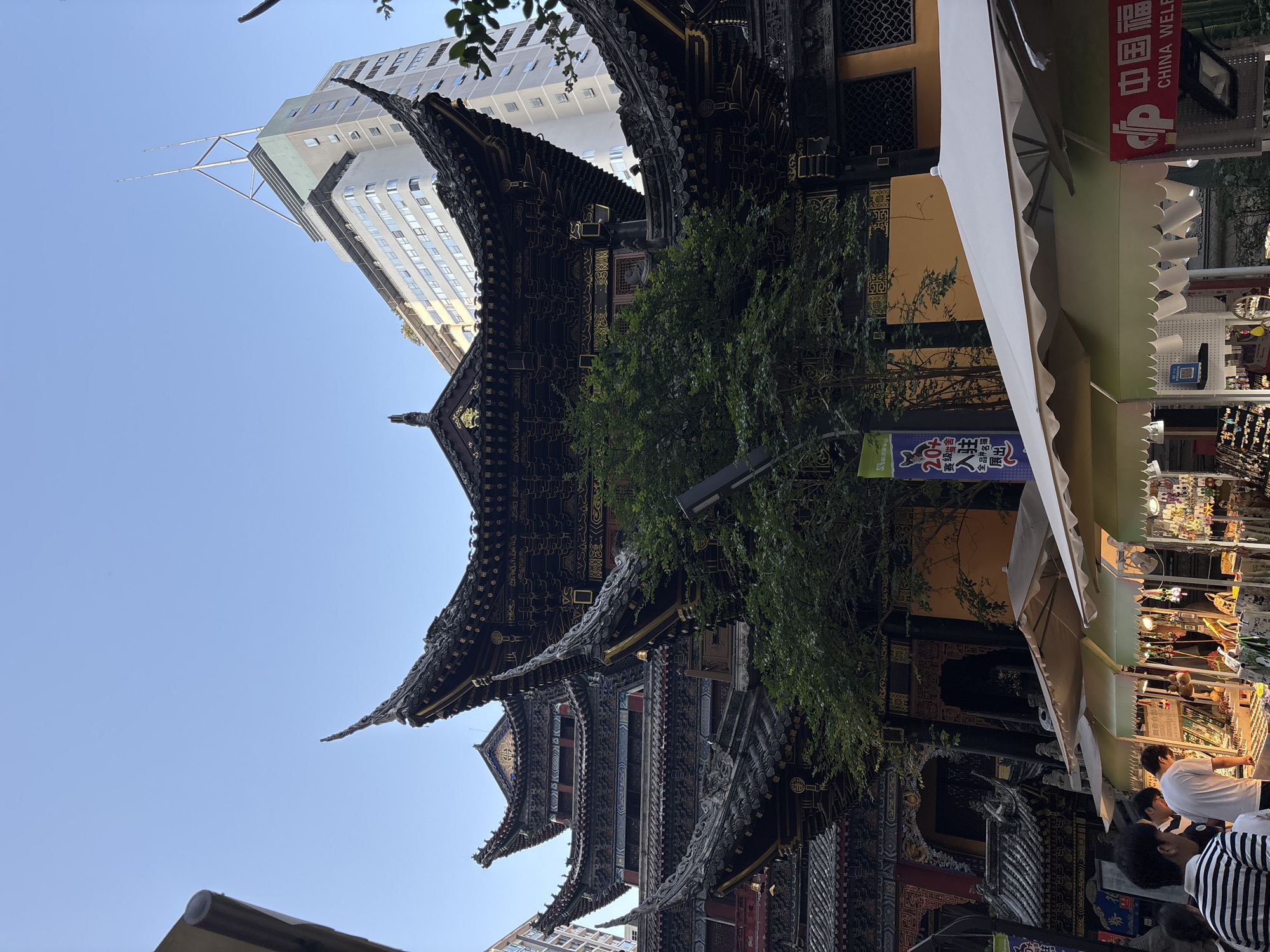 This image depicts a street scene in the Yuzhong District of China, likely during the daytime given the clear blue sky. The scene showcases a fascinating contrast between traditional Chinese architecture and modern high-rise buildings.
In the foreground, a traditional multi-tiered temple-like structure with ornate dark eaves and intricate golden detailing dominates the view. A lush green tree is positioned in front of it, partially obscuring some of the architectural elements. To the right, a market stall with a white canopy is set up, displaying various goods. People can be seen browsing at the stall.
Behind the traditional structure, a modern, light-colored skyscraper rises into the sky, featuring a distinctive angular design and a tall, thin spire. The juxtaposition of these two distinct architectural styles highlights the blend of old and new often found in Chinese cities.
Visible text includes "中国福" (China Welfare) and "CHINA WEL" on a sign, along with characters that appear to be related to a cat show, such as "赛级猫舍" (Prize-winning Cat Cattery) and "全品种名猫展出" (All Breed Famous Cats Exhibition). The presence of the market stall and the people browsing suggests a lively, active street or shopping area. The overall impression is one of a vibrant urban environment where traditional culture and contemporary life coexist.