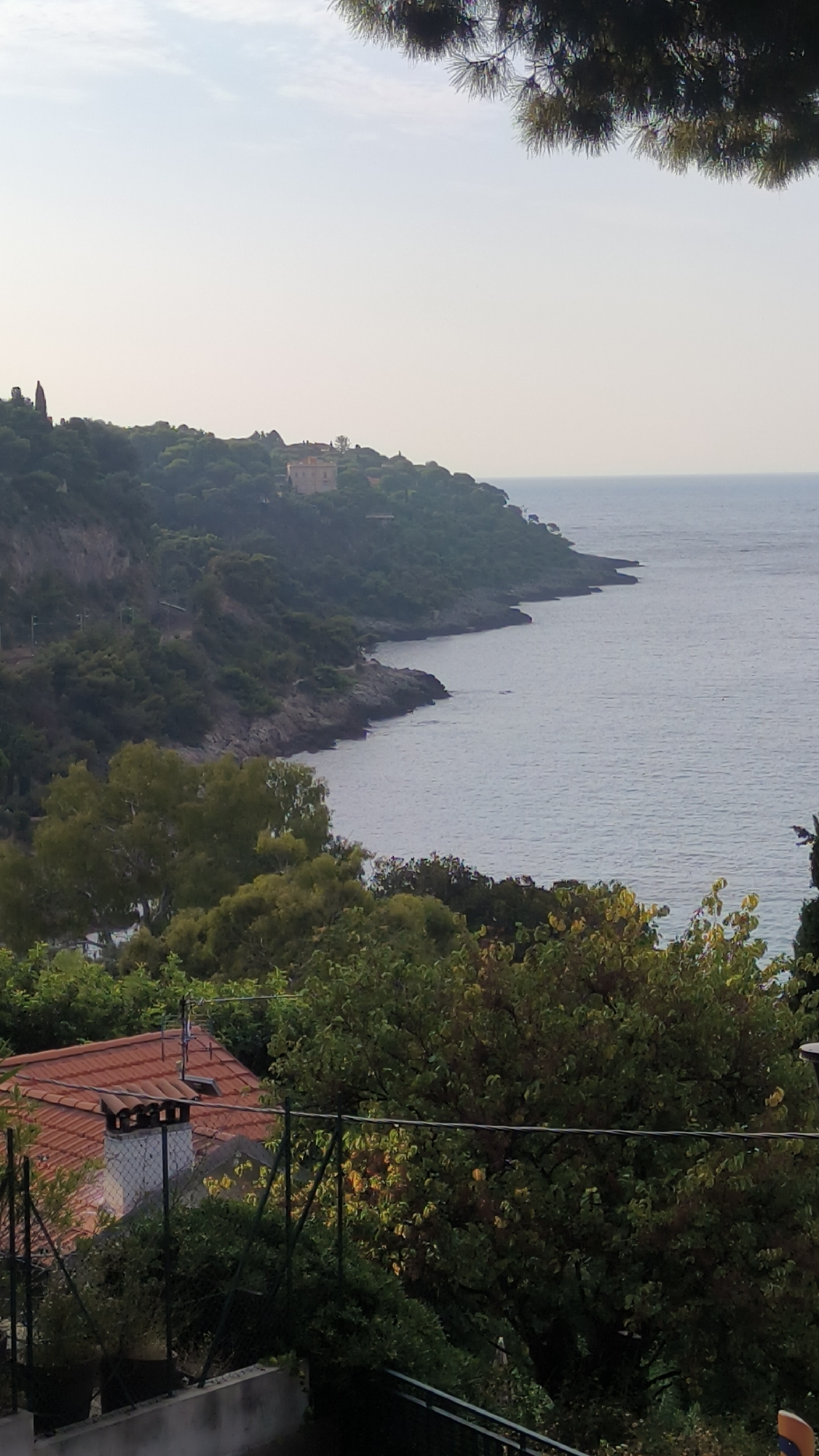 A landscape view shows a tree branch in the foreground, framing a view of the ocean and a lush, green hillside. A quaint house with a terracotta roof sits nestled among the trees, overlooking the water. The house features a chimney and is partially obscured by foliage, with a fence in front. The hillside is covered in dense vegetation, with scattered buildings visible higher up. The ocean is calm, with a light breeze rippling its surface. The sky is clear and pale, suggesting it might be early morning or late afternoon.