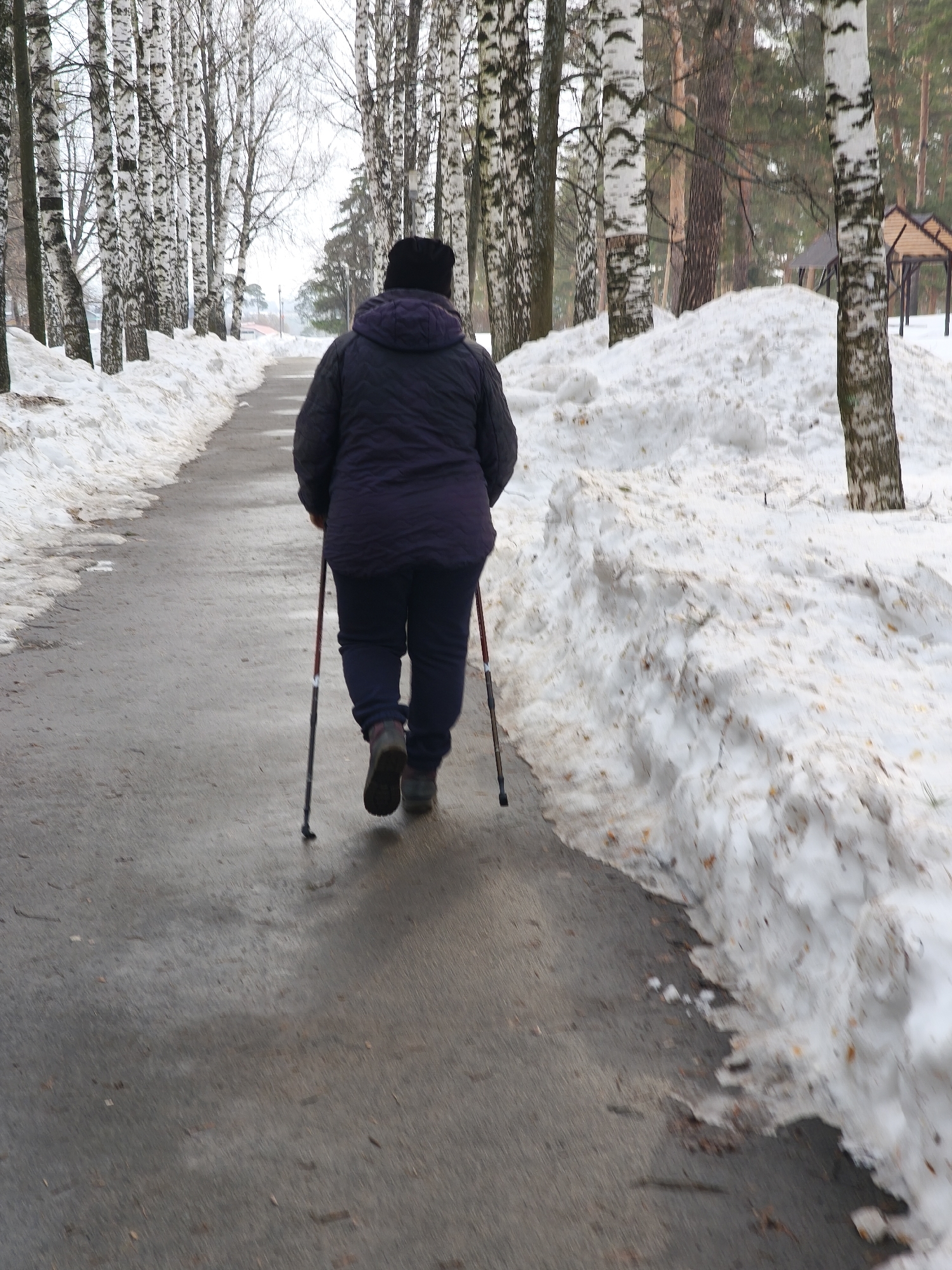 A single individual, seen from behind, walks on a damp, paved pathway in a park or wooded area in Unknown, Unknown. The person is wearing a dark puffer jacket, dark trousers, a black beanie, and dark shoes, and is utilizing two red and black Nordic walking poles. Large, dirty snow piles mixed with brown debris line both sides of the pathway. Numerous bare birch trees with distinctive white and black bark are prominent along the path, with darker evergreen trees visible in the background. A small, brown-roofed wooden structure is partially visible through the trees on the right. Distant, indistinct structures are faintly visible on the left side of the background. The scene depicts an overcast, cold daytime environment with lingering snow.