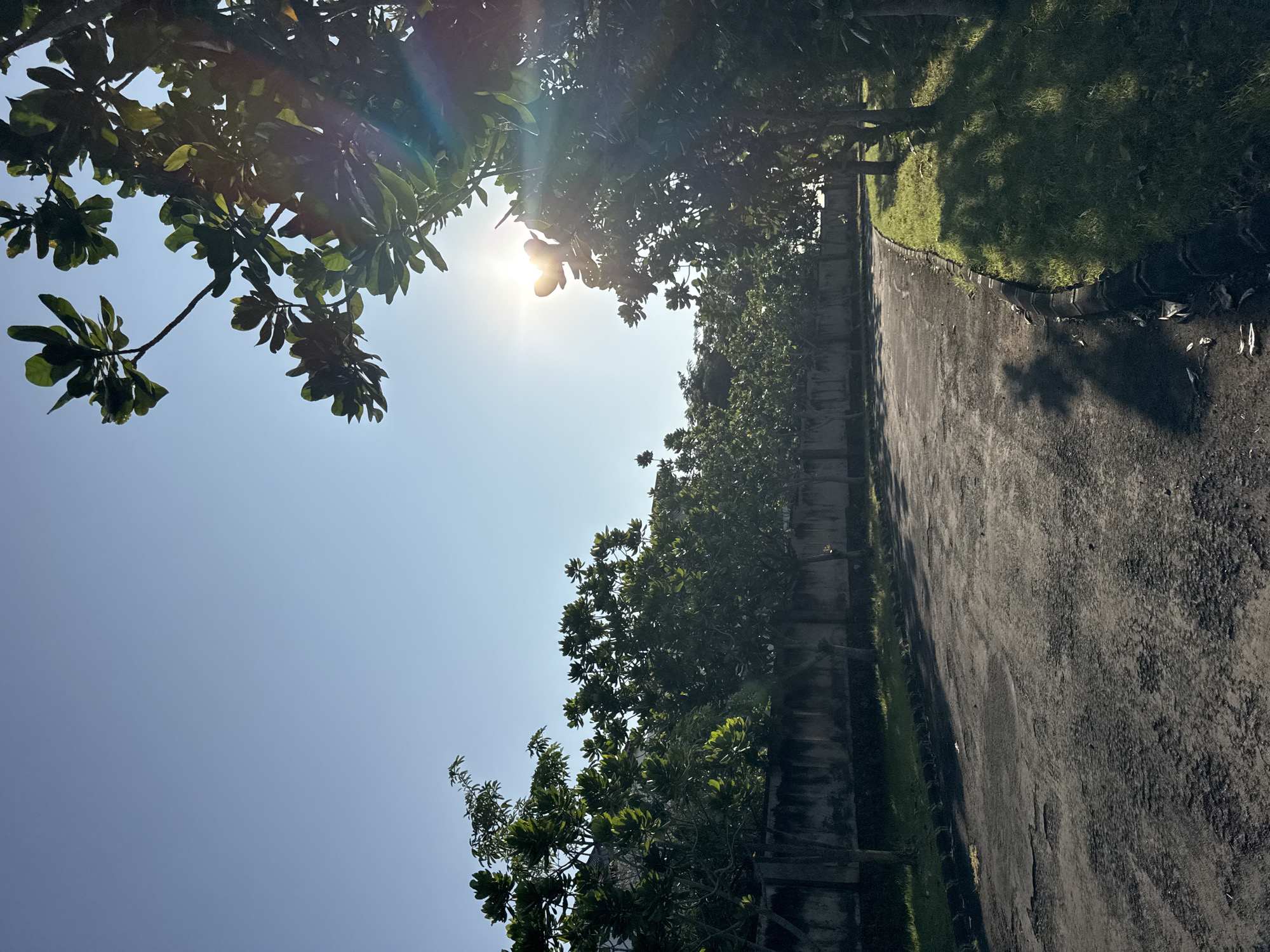 The image shows a view upwards towards the sky with the sun shining through tree branches. A paved road stretches into the distance along the right side of the frame, bordered by a wall covered in greenery. The sky is clear blue. The location is Kuta Selatan, Indonesia.