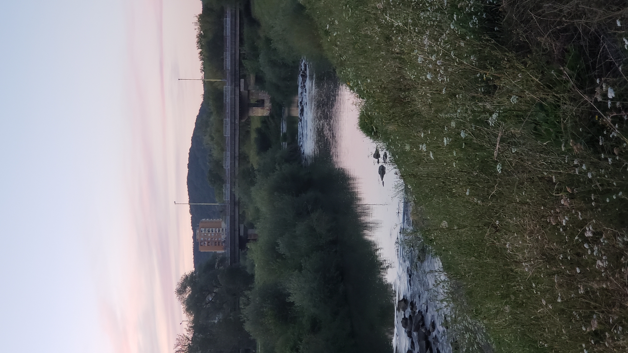The image depicts a serene river scene in Prešov, Slovakia, likely during twilight. A concrete bridge spans the river, with a tall, light-colored building visible behind it on a hill. The river itself has a gentle flow, with rocks emerging from the water. Lush green vegetation lines the riverbanks, with tall grasses and smaller white wildflowers dominating the foreground. The sky displays soft pastel hues of pink and pale blue, characteristic of a sunset or sunrise. The overall atmosphere is tranquil and natural, with a touch of urban presence from the building and bridge.