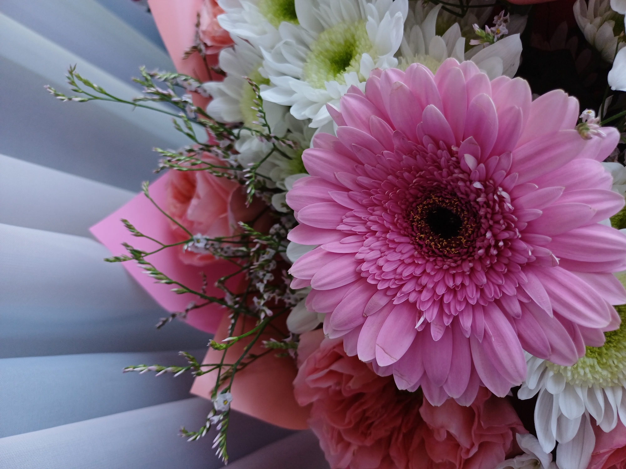 A close-up, eye-level shot captures a bouquet of flowers. The main focus is a large, vibrant pink Gerbera daisy in the foreground, its petals fanning out from a dark, textured center. To the left and behind the Gerbera, a peachy-pink carnation is visible, with ruffled petals. In the background, white chrysanthemums with light green centers add contrast. Delicate green sprigs with tiny white flowers weave through the arrangement. The flowers are set against a soft, light blue and white pleated backdrop. The image is taken indoors, with soft lighting highlighting the textures and colors of the floral subjects.