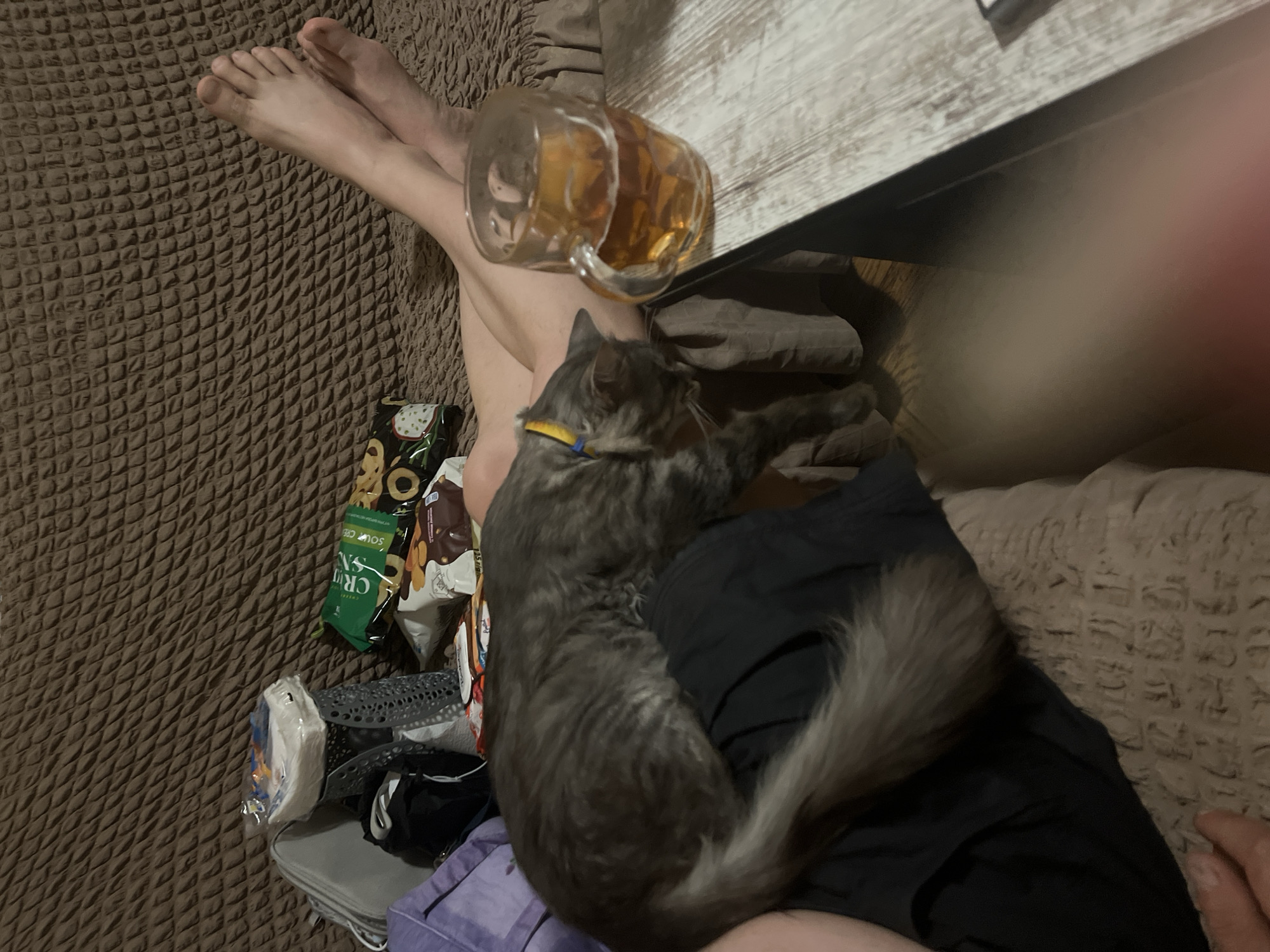 In an indoor setting, likely a living room in Drohobych, Ukraine, a tabby cat with a yellow collar rests on a person's lap, which is covered by dark fabric. The person's bare legs are visible, crossed and resting on a brown textured sofa. To the right, a glass mug filled with amber-colored liquid, presumably beer, sits on a light-colored wooden table. Several snack bags are scattered on the sofa behind the cat and person, including one with green packaging that reads "CRUNCHY" and another with a picture of nuts. A grey bag and a purple bag are also present on the sofa. The overall environment suggests a relaxed, casual atmosphere.