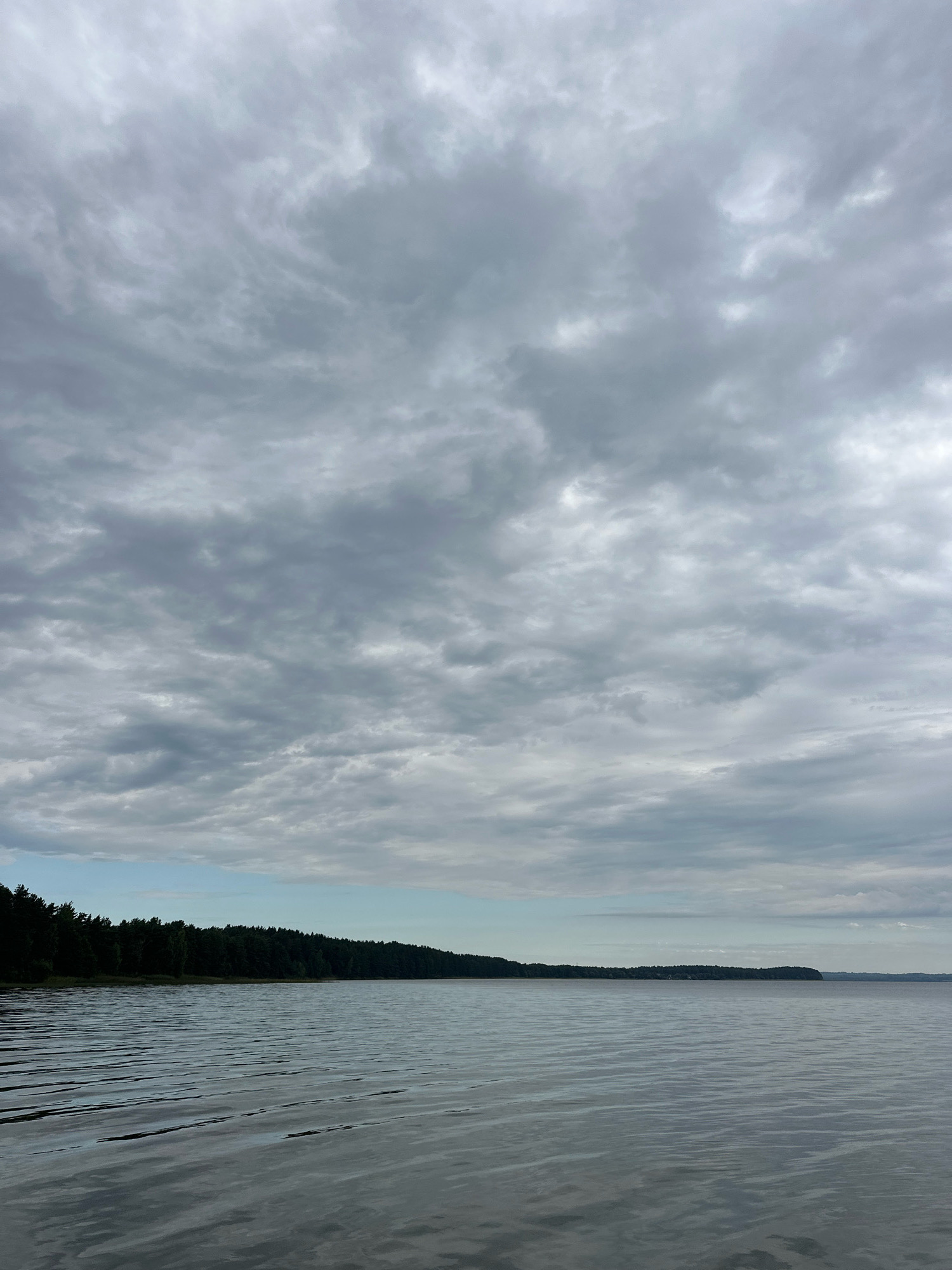 The image depicts a serene, overcast day over a large body of water, likely a lake, with a dense forest line bordering the far shore. The water's surface is rippled, reflecting the muted gray and white tones of the cloudy sky. The forest appears as a dark, unbroken expanse of green, punctuated by the occasional lighter shade of foliage. In the distance, the shoreline recedes and softens, eventually merging with the hazy horizon. The overall atmosphere is one of quiet contemplation and natural beauty, characteristic of the rural landscapes found in areas like Нарацкі сельскі Савет, Belarus. There are no people or man-made structures immediately visible in the frame, emphasizing the untouched nature of the scene.