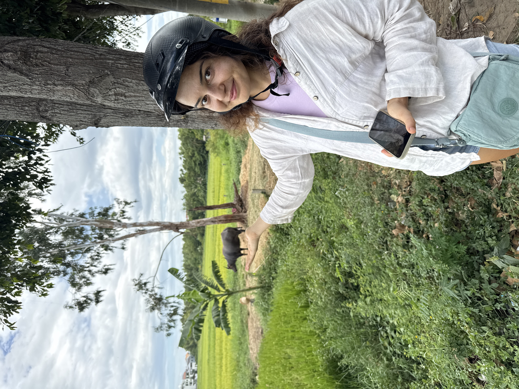 In Hoi An, Vietnam, a young woman with curly brown hair, wearing a black helmet, a white open-buttoned shirt over a lavender top, and denim shorts, stands in front of a lush green rice paddy under a cloudy sky. She holds a smartphone in her right hand and gestures with her left hand towards a dark-colored water buffalo standing in the middle of the field, near a banana tree. A light blue crossbody bag is slung over her shoulder. The background shows more green fields, trees, and some distant buildings.