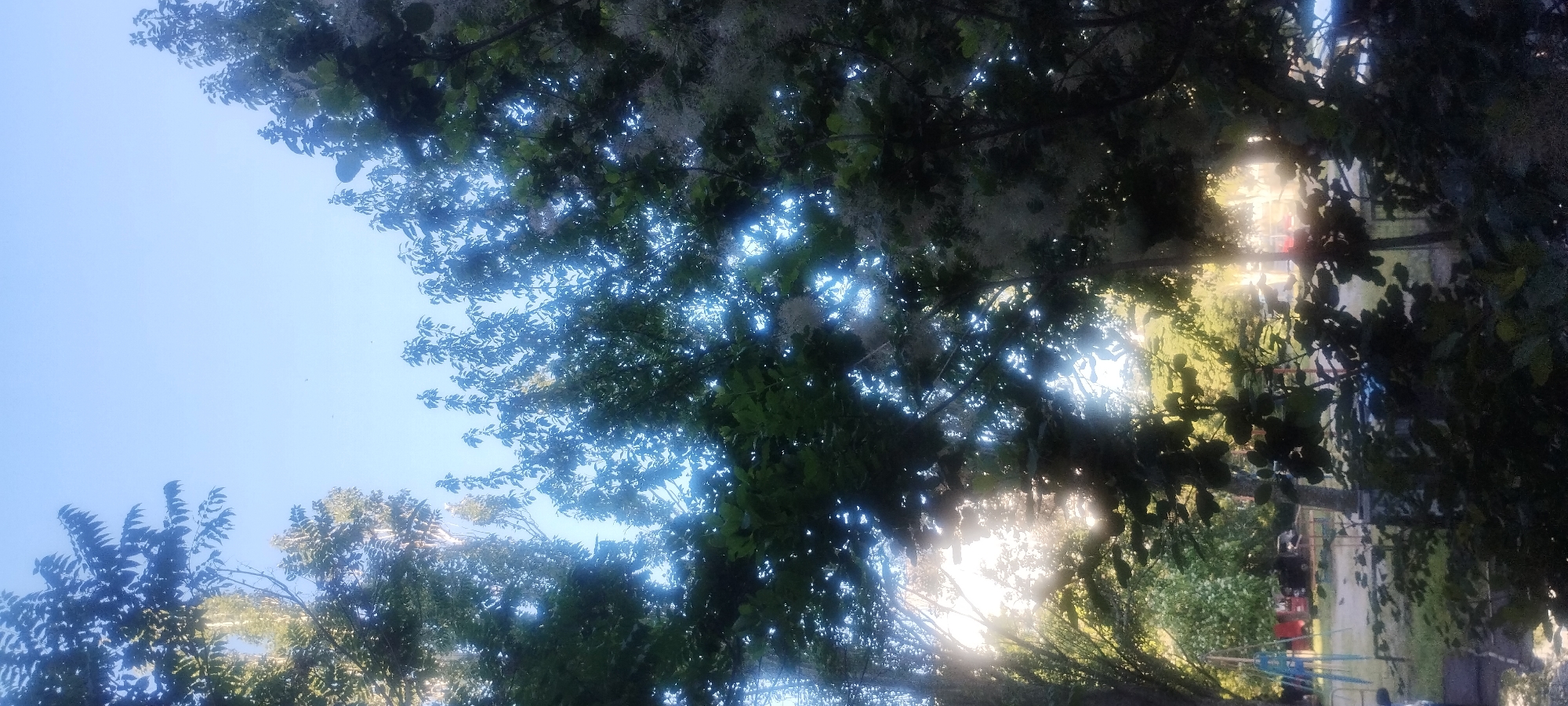 This is a low-angle, outdoor photograph taken in the city of Zaporizhzhia, Ukraine, likely during daylight hours. The image is dominated by lush green foliage from trees and plants, with the sky visible through the branches. Sunlight filters through the leaves, creating a dappled and bright effect in the upper and central parts of the frame, with some areas appearing overexposed due to the intense light. In the background, out of focus, are elements that suggest a recreational area or park. These include what appears to be a blue and yellow playground structure, several vehicles including a car, and what might be a tent or small building. The foreground is darker, with more foliage obscuring the lower part of the scene. The overall impression is one of a natural, possibly park-like setting within an urban environment.
