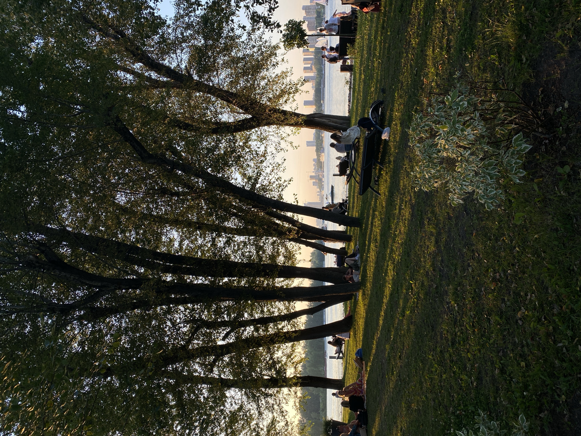 The image depicts a group of people enjoying a late afternoon or early evening at a park on the waterfront, likely in Khimki, Russia. The sun is low in the sky, casting long shadows across the green grass and illuminating the trees with a warm, golden light. The scene suggests a relaxed and pleasant atmosphere, with individuals and small groups scattered throughout the park.
Several people are seated on the grass, some on blankets, while others are on benches or chairs. They appear to be socializing, resting, or simply taking in the scenic view of the water and the distant cityscape. The cityscape, with its buildings, suggests an urban setting on the opposite side of the water.
The foreground is dominated by the silhouettes of several large trees, their branches reaching out and creating dappled shade. A decorative bush with variegated leaves is also visible. In the background, a body of water, likely a river or reservoir, separates the park from the city skyline. The overall mood is peaceful and idyllic, typical of a leisurely outing on a pleasant day. There is no visible text in the image.