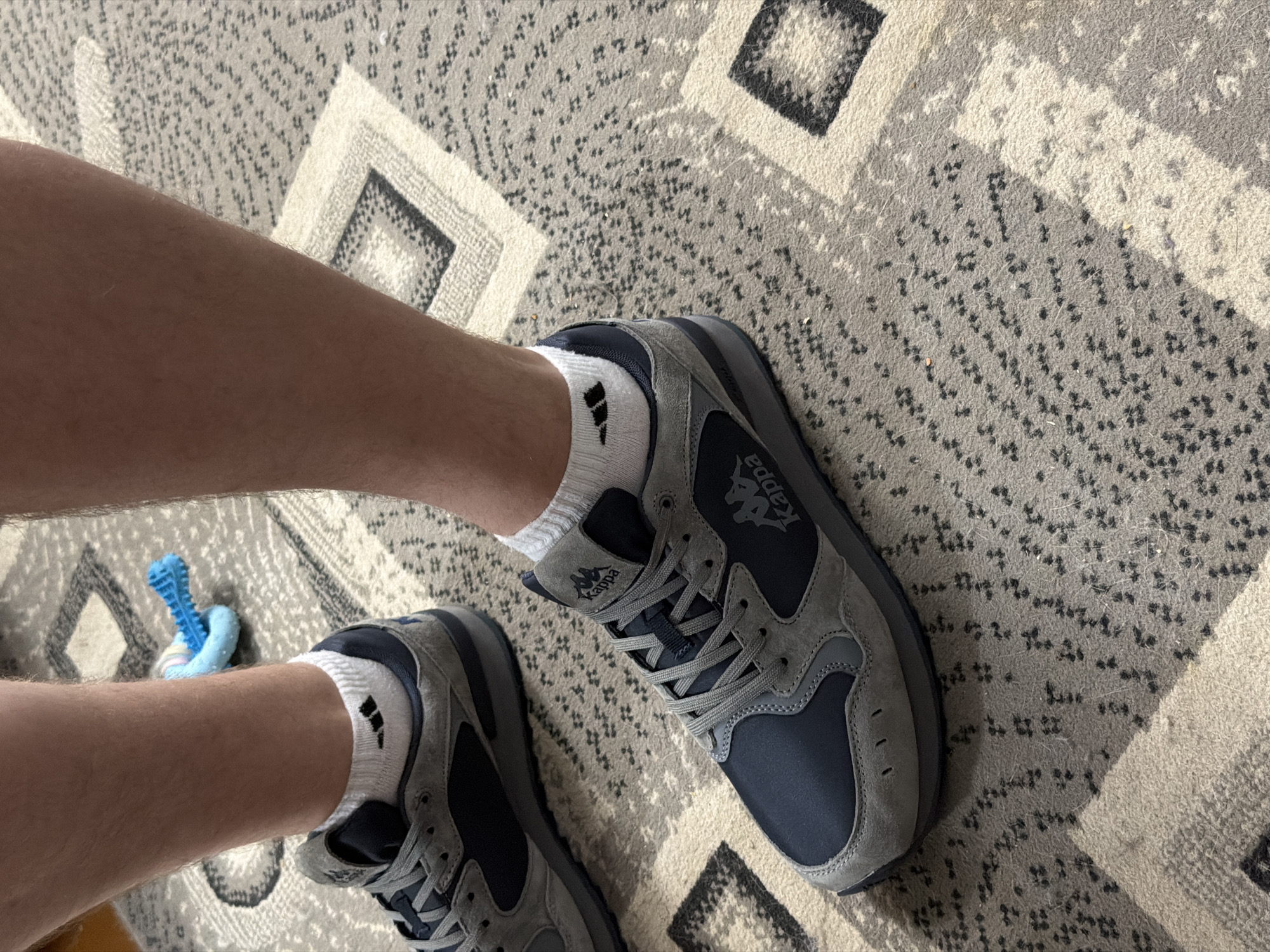The image shows a close-up view of a person's legs and feet wearing navy blue and gray Kappa sneakers with white socks. The socks have a small black logo. The person is standing on a patterned rug. In the background, a blue chew toy is visible on the rug. The image is an indoor shot. The city of Chaikovsky, Russia is not identifiable in this image.