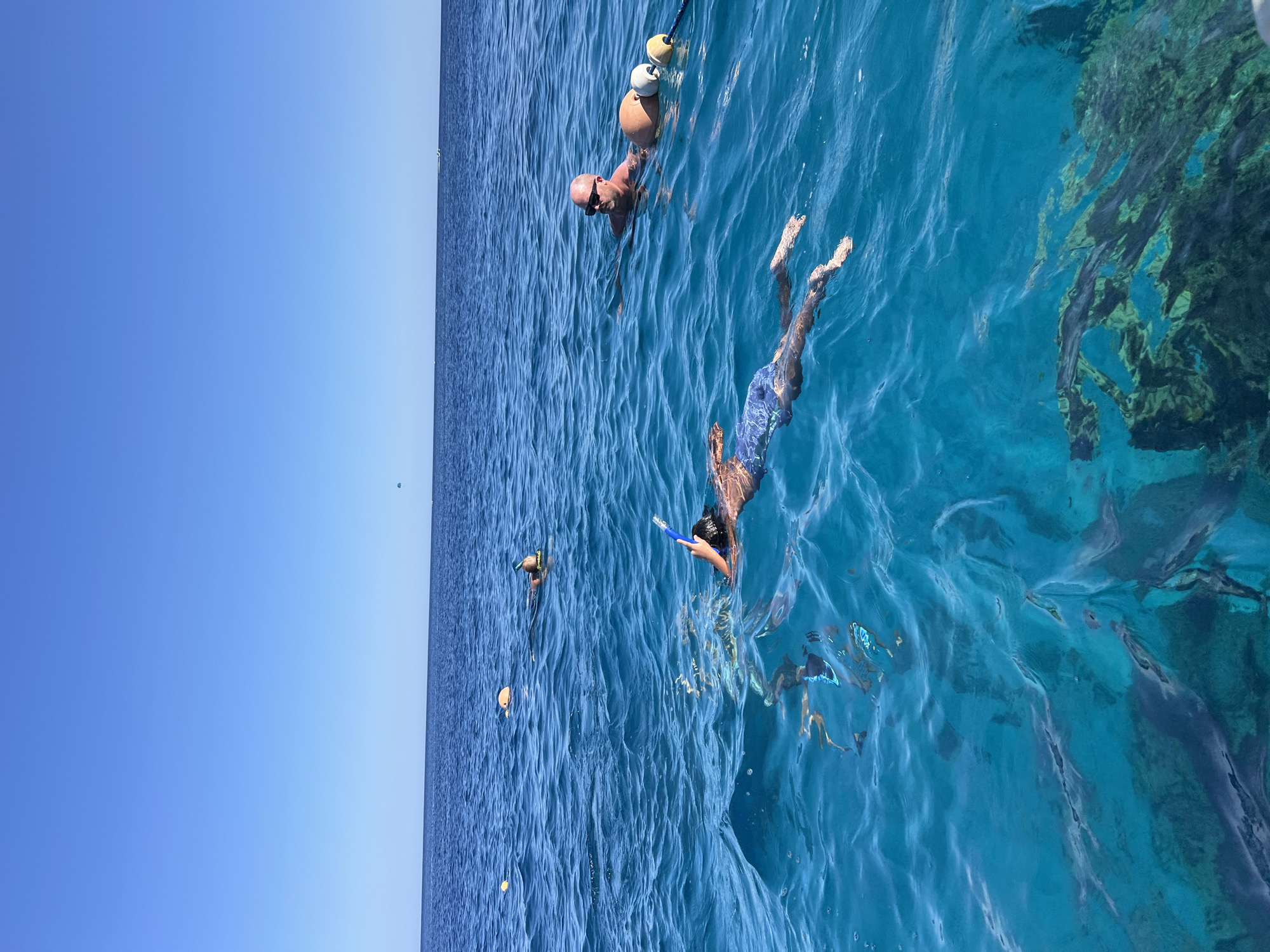 The image depicts a group of people snorkeling in clear blue waters, with a glimpse of coral reefs beneath the surface. The scene appears to be in a tropical or subtropical location, with bright sunlight illuminating the water.
The subjects are several individuals enjoying a snorkeling activity. One person is partially submerged, wearing goggles and a snorkel. Another is in the process of diving or swimming, with their body angled downwards. Two more individuals are visible further in the distance. There are also buoys floating on the water, possibly marking a swimming or snorkeling area.
The activity is clearly snorkeling, with participants exploring the underwater environment. The water is calm and translucent, allowing for a good view of the seabed and any marine life. The time of day appears to be daytime, with the sun casting a bright light on the water. The location cues, such as the clear blue water and coral, suggest a coastal or marine setting, consistent with a location like Sharm El Sheikh, Egypt. The overall mood seems to be one of leisure and enjoyment. No visible text is present in the image.