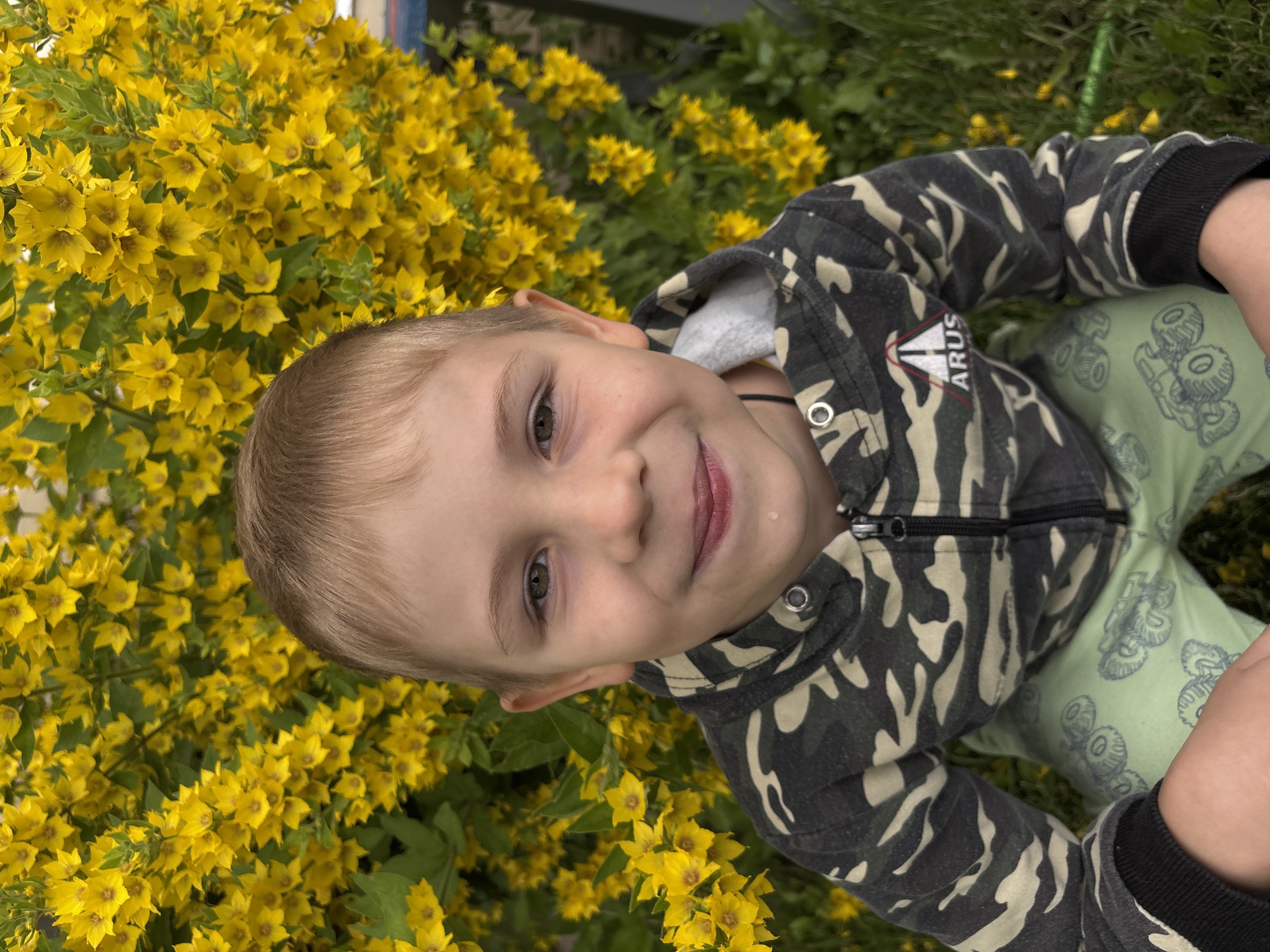 A young boy with blond hair and green eyes is pictured in an outdoor setting, in front of a dense bush of yellow flowers. He is wearing a camouflage hooded jacket with a zipper and a gray inner lining, and light green pants with a cartoon monster truck pattern. He is smiling at the camera, and a droplet of liquid is visible on his lower lip. The boy appears to be in a crouched position. The background consists of the yellow flowers and green foliage, with hints of grass and a fence visible on the right side. The image was taken in the village of Dunilovo, Russia.