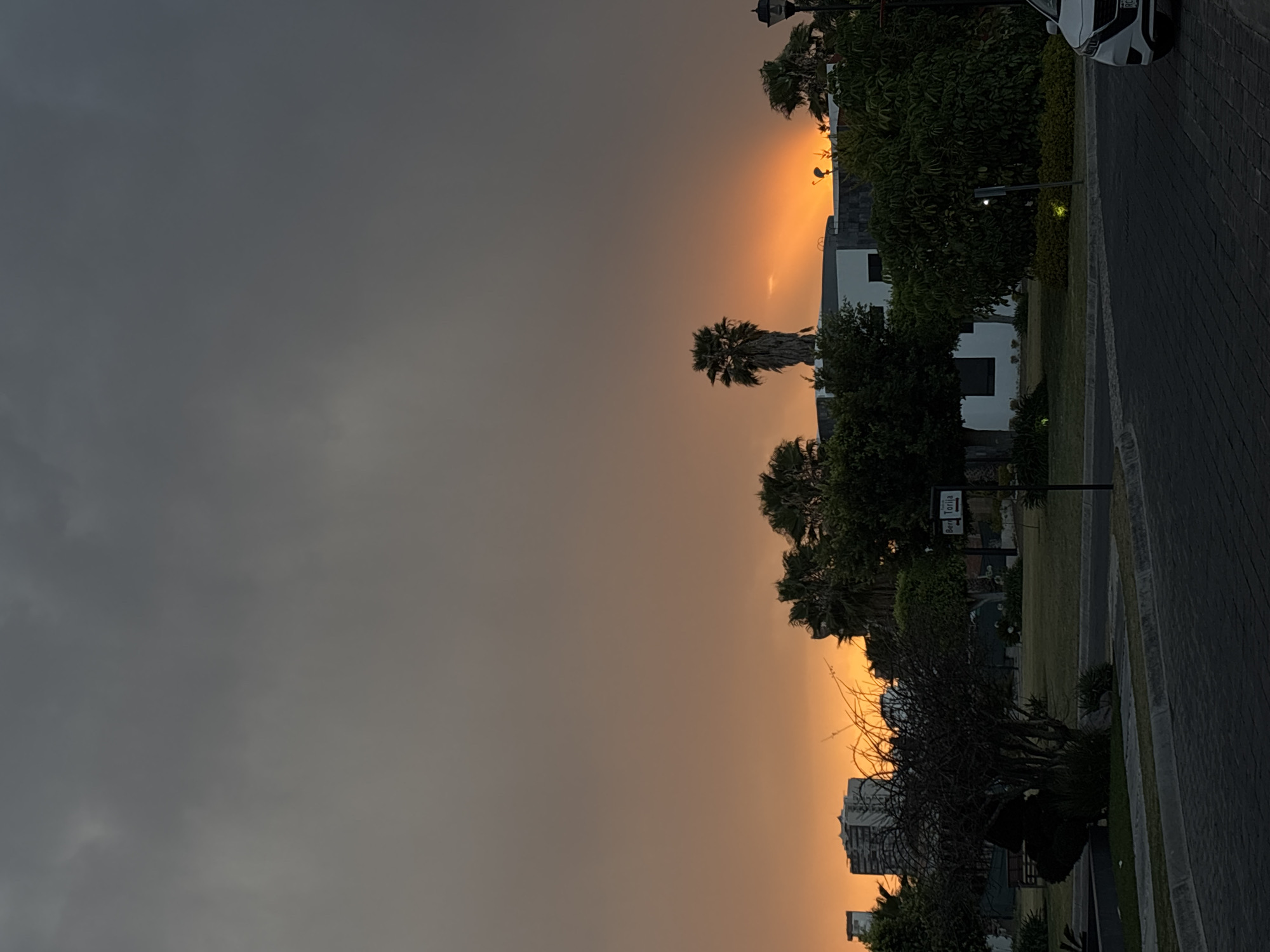 The image captures an outdoor urban/suburban scene at dusk or dawn in San Bernardino Tlaxcalancingo, Mexico. The sky transitions from dark grey, overcast conditions in the upper frame to an intense orange and amber glow along the horizon. In the immediate foreground, a dark grey interlocking paver street is visible, with a curb bordering a landscaped area featuring manicured grass and various trees. A partial view of a white sedan is present on the far right, facing left. Centered in the midground is a dark, deciduous tree with bare branches. To its right, a black street sign post displays two white directional signs: "Bern" and "Torija". Multiple buildings are visible through and above the vegetation; on the right, a modern structure with white and dark grey facades and a flat roof is partially obscured by lush green foliage and several palm trees. On the far left, tall, multi-story buildings are silhouetted against the bright horizon. Small, luminous yellow ground lights are discernible on the grassy areas. No people or active interactions are observed.