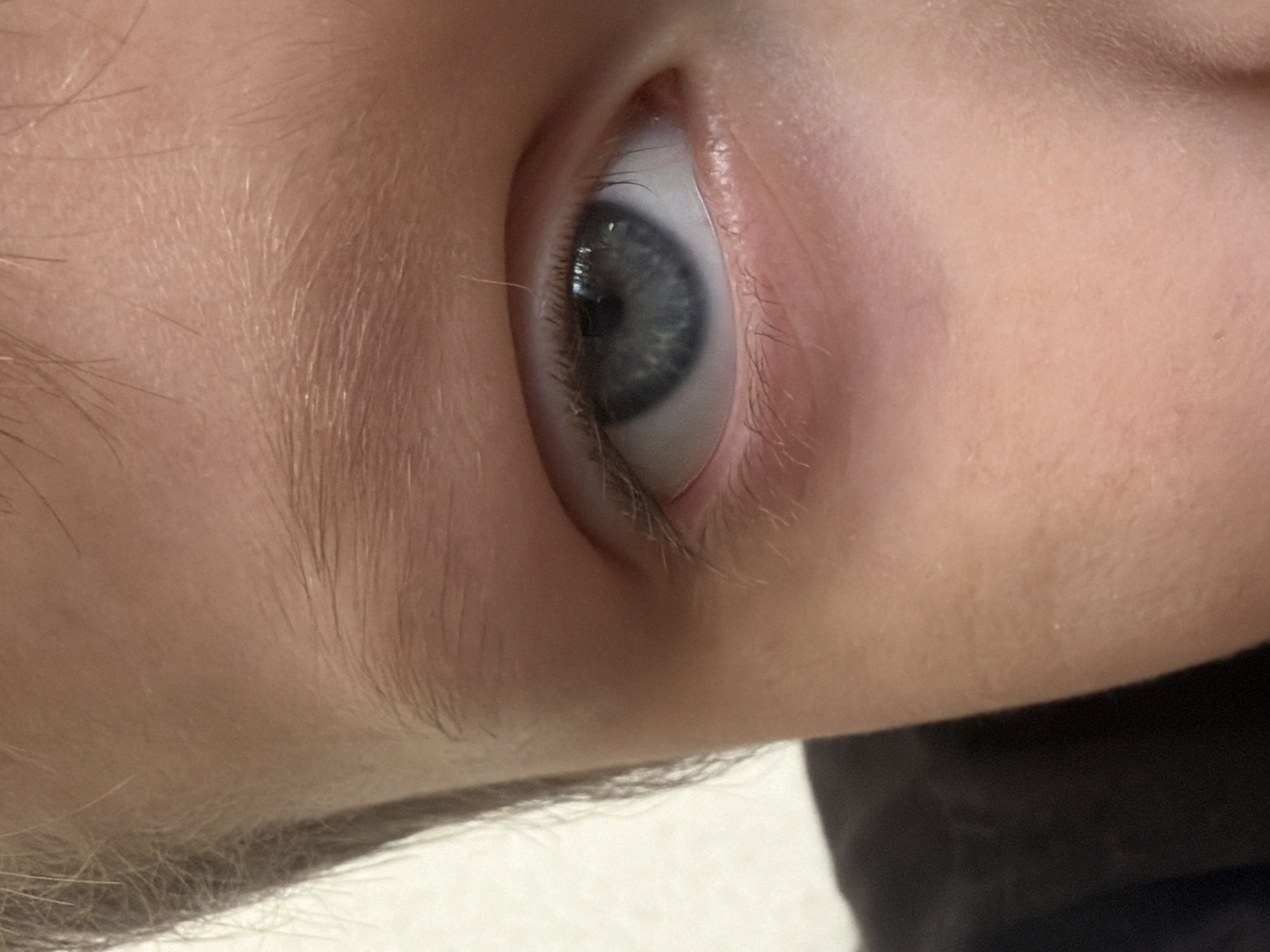 The image displays a tight, close-up view of the right eye and surrounding facial features of an individual. The eye presents a blue-grey iris with a dark, centrally located pupil. Reflections of a light source are discernible within the pupil. Eyelashes are visible along both the upper and lower eyelids. The visible skin is fair-toned, exhibiting fine vellus hair on the forehead, cheek, and around the eye. A portion of a light-colored eyebrow is present above the eye, correlating with light-colored hair visible along the upper-left edge of the frame. In the lower-left corner, a dark, uniform fabric, likely an article of clothing, is visible. The background, primarily in the upper-left quadrant, consists of a light-colored, textured surface consistent with an interior wall. No specific actions or interactions are depicted. The image does not contain any discernible visual information to determine the specific location within the city of Saint Petersburg, Russia, or any other geographical area.