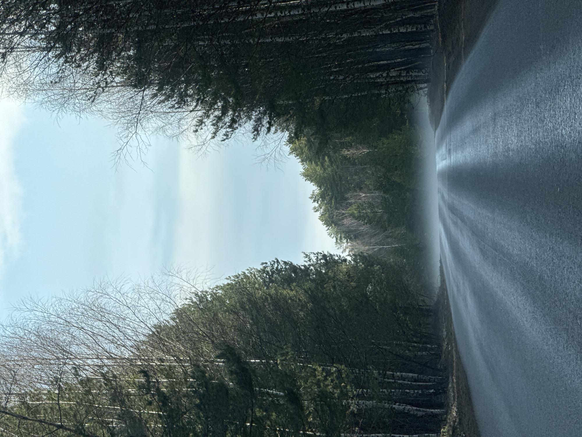 The image depicts a road receding into the distance, flanked by trees. The road is asphalt, possibly wet or reflective, and shows signs of wear. The trees on either side form a dense canopy, creating a tunnel-like effect. Some trees are bare, while others are evergreen. The sky is visible between the trees and appears overcast or hazy. The photograph appears to be taken in a natural or semi-rural environment, likely near Chaikovsky, Russia, given the context. There are no visible people or objects other than the road and trees.