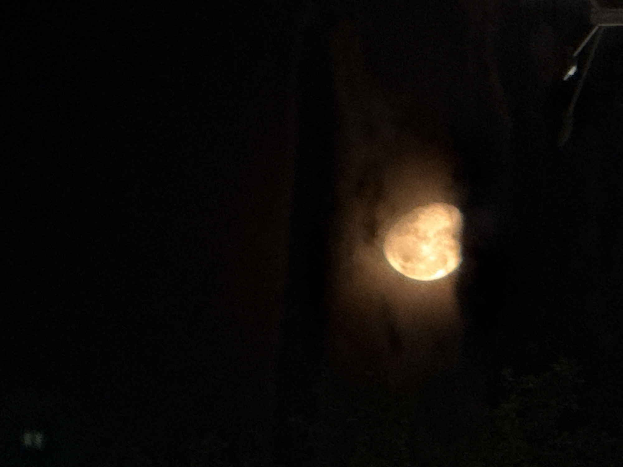 The image captures a nighttime scene dominated by a warm, golden-yellow moon. The moon, appearing full or nearly full, glows brightly in the upper right portion of the frame, partially obscured by dark, wispy clouds or atmospheric haze that diffuse its light. The right edge of the moon is clearer and more defined, while its left side is softer and more blurred by the intervening matter.
The majority of the image is consumed by the dark expanse of the night sky. In the lower right corner and along the bottom edge, the faint, dark silhouettes of tree branches or foliage are visible against the darkness. A dark, vertical element, possibly a building or a tree trunk, runs along the middle-left of the image, partially obscuring the left side of the moon and contributing to the overall muted light in that area. In the top right corner, a tiny, bright white speck is visible, possibly a light source or a reflective object on a distant structure or wire, though it is very indistinct.
The overall impression is one of a serene, slightly mysterious night, with the moon as the central point of illumination, veiled by atmospheric conditions. The time of day is clearly night. No specific weather conditions are evident beyond the hazy sky around the moon. There are no identifiable location cues within the image itself to suggest Sofia, Bulgaria. No text is visible.