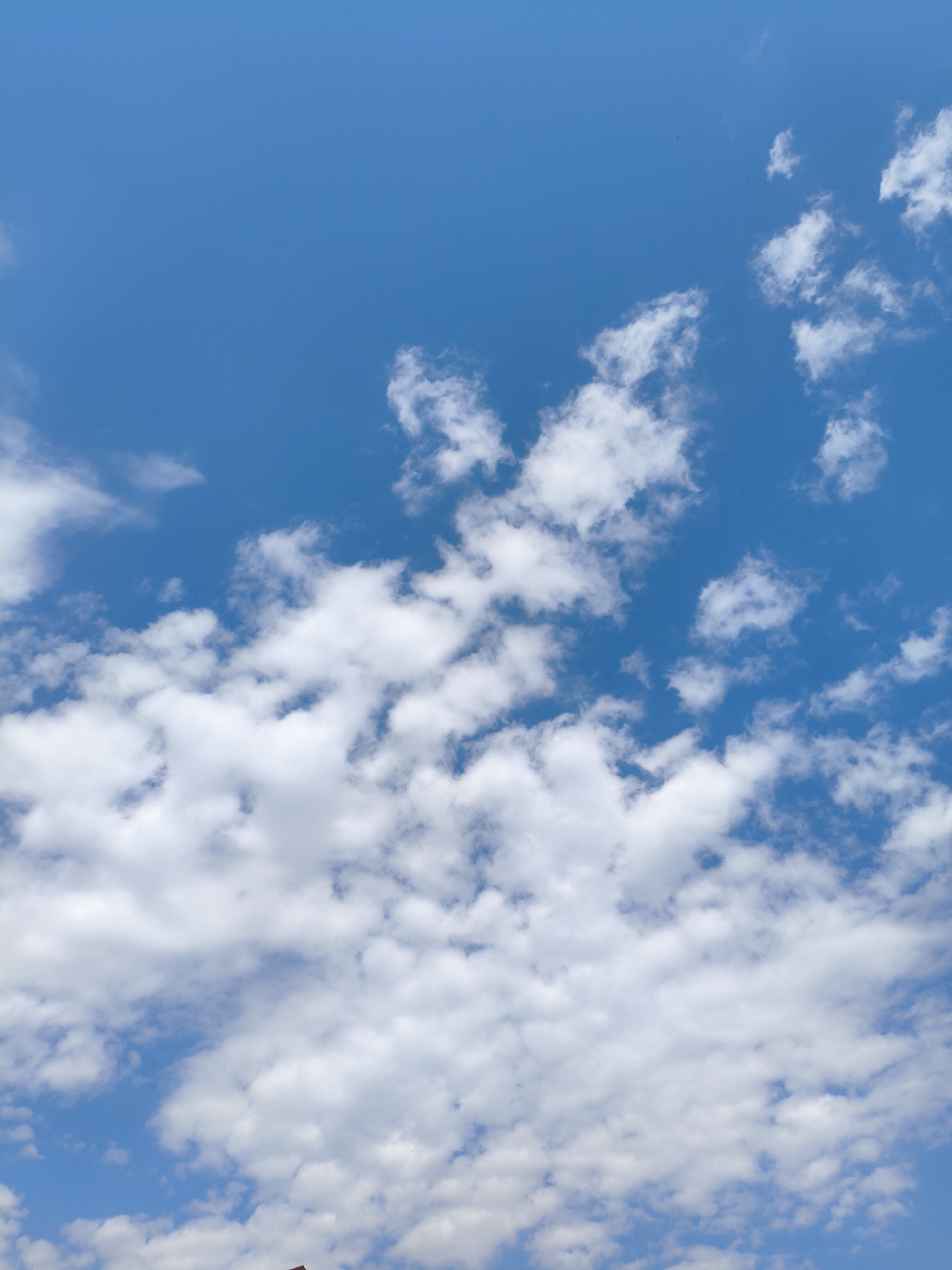 The image is a vertical shot of a bright blue sky filled with fluffy white cumulus clouds. The clouds are scattered across the frame, with some appearing denser and larger, while others are wispy and smaller. The lighting suggests it is daytime, likely with bright sunlight, as indicated by the white and illuminated appearance of the clouds. The image does not contain any people, objects, or urban elements that would allow for specific location identification within the city of Ufa, Russia. The scene is entirely natural, focusing on the sky and cloud formations.