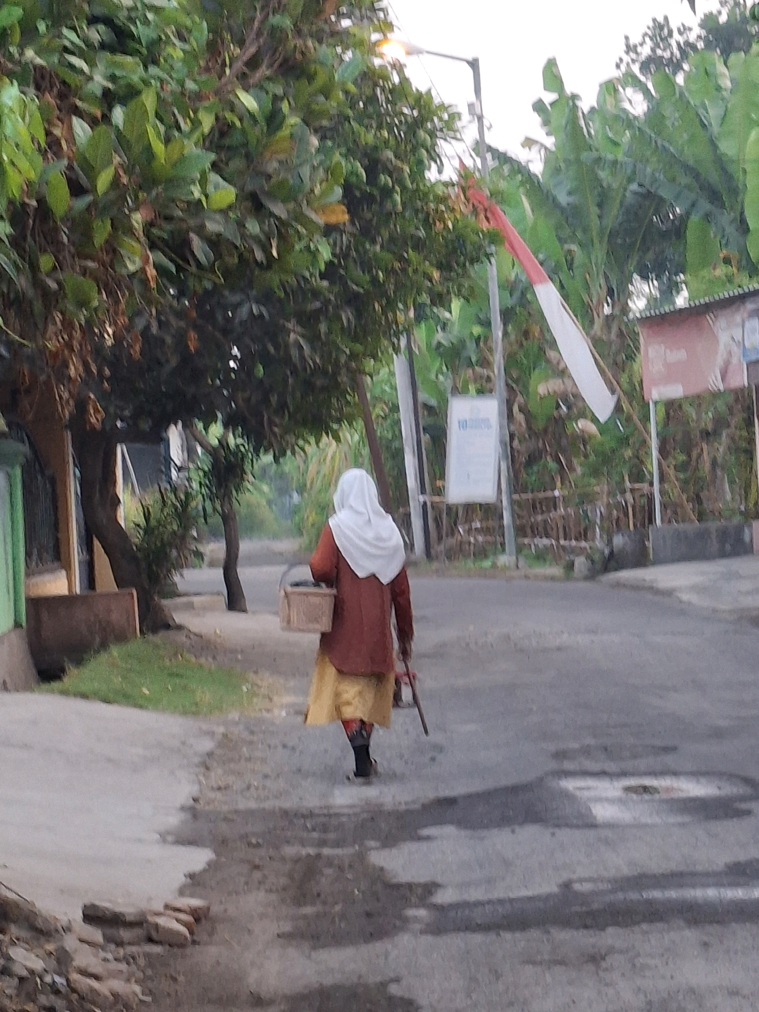 A person wearing a white hijab and a reddish-brown jacket over a yellow skirt walks away from the camera down a paved road. They are carrying a small, woven basket in their right hand and a long, thin object, possibly a stick, in their left hand. The person is on the right side of the frame. To the left of the person, there is a sidewalk with grass and trees. The road is wet in places, reflecting the sky. In the background, there are banana trees, a street light with a red and white flag attached, and buildings. The environment appears to be a residential area in Lumajang, Indonesia, given the presence of banana trees and the Indonesian flag. The overall lighting suggests it is daytime, possibly early morning or late afternoon.