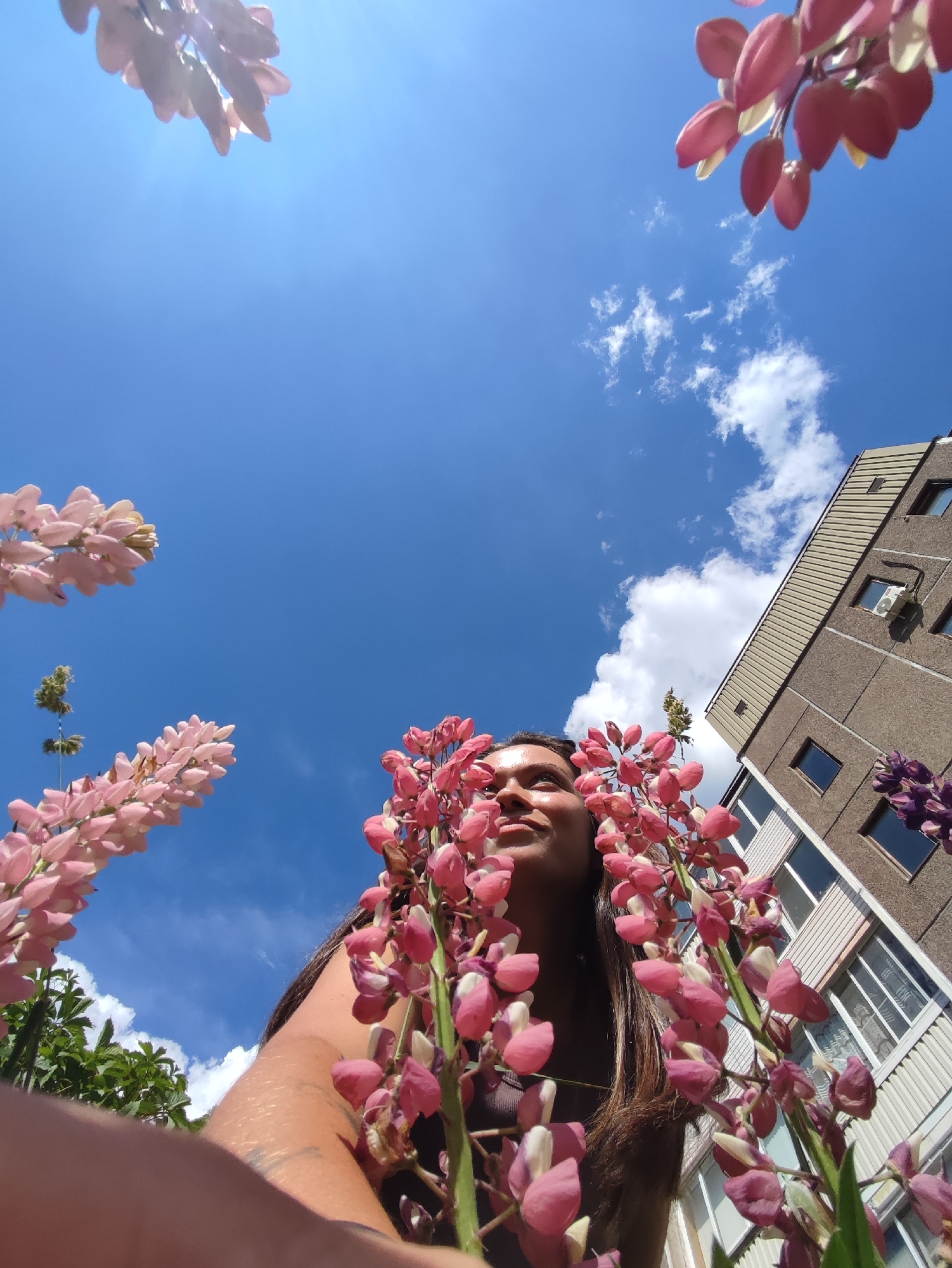 An upward shot captures a young woman positioned in the foreground, her face illuminated by sunlight as she gazes upwards. She is partially framed by vibrant pink lupine flowers, with some blooms also appearing in the upper left and right corners of the frame. Behind her, a multi-story building with a grey facade and cream-colored siding is visible, its windows reflecting the bright blue sky. A few wispy clouds dot the sky. Lush green foliage is also present in the lower left section of the image. The perspective suggests the photo was taken from a low angle, possibly with a wide-angle lens, looking up towards the sky and the building.