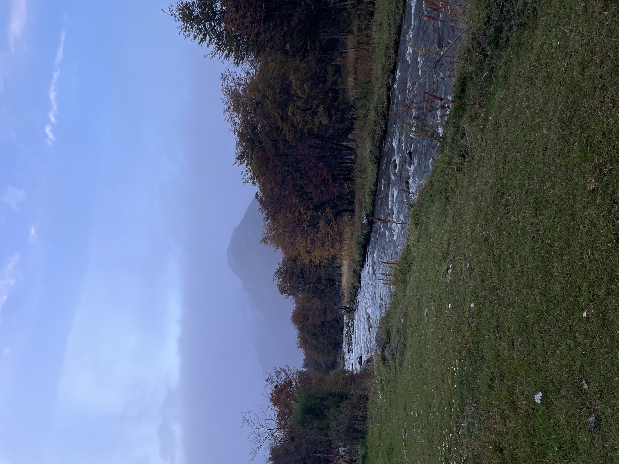 The image shows a river running through a landscape near Ushuaia, Argentina. The river flows from left to right, with trees lining the left bank exhibiting autumn colors. The river is surrounded by grassy banks. A mountain peak is visible in the background, partially obscured by mist or clouds. The sky is overcast, suggesting a cool or damp environment.