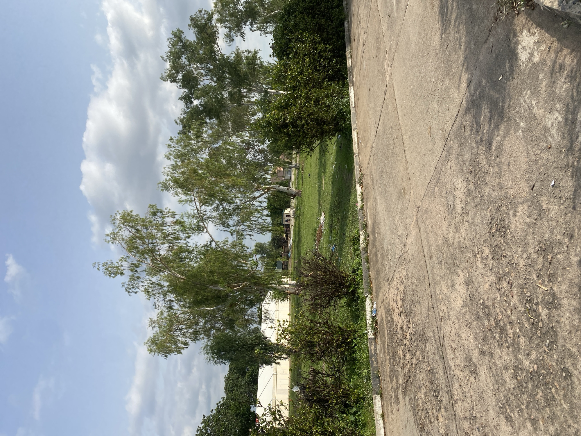 In Jalingo, Nigeria, a scene unfolds where the natural meets the man-made. A paved surface, cracked and weathered, occupies the foreground, suggesting an area of routine passage or perhaps disuse. Beyond this, a strip of green grass, dotted with small white flowers and a scattering of litter, marks the transition to a more natural environment. Several bushes, some appearing sparse and dry, others densely green, line the edge of the paved area.
Dominating the mid-ground are several tall, slender trees with light-colored bark and a profusion of green foliage. Their branches reach towards a sky filled with scattered white clouds against a pale blue backdrop. Behind these trees, a large white tent-like structure is visible, its smooth, curved surface a stark contrast to the organic forms of the trees. Further in the background, more trees and smaller buildings can be seen, hinting at a larger settlement or complex. The overall impression is one of an outdoor space, possibly on the outskirts of a developed area, where nature and constructed elements coexist.