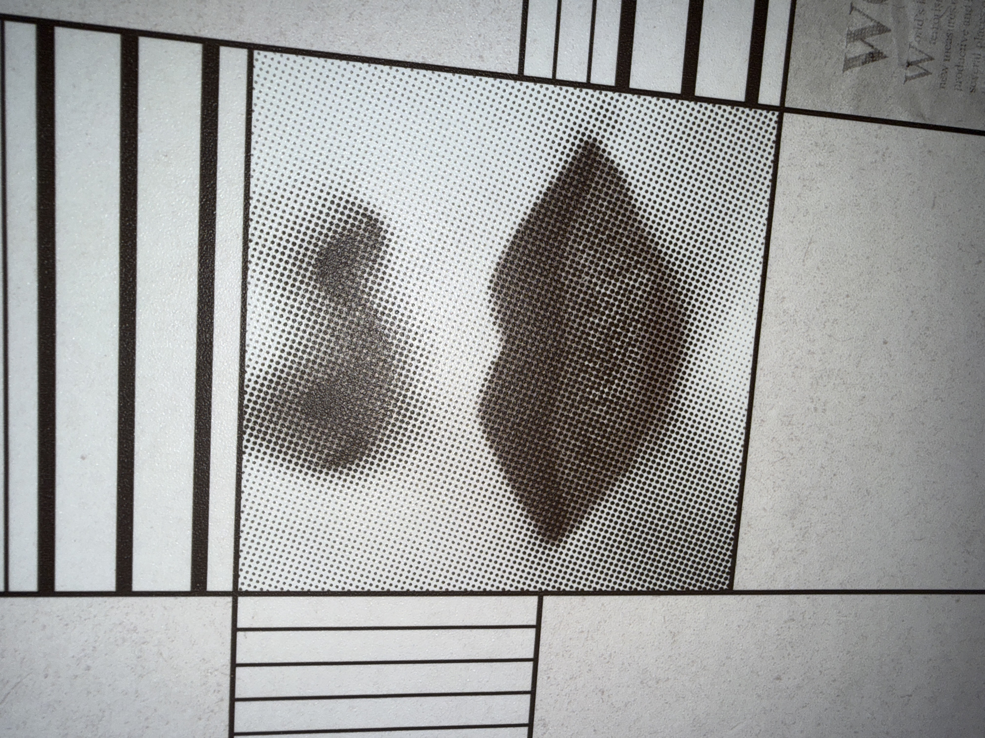 The image is a close-up of a poster or artwork, featuring a halftone print of a pair of lips and a portion of a nose. The artwork is divided into sections by thick black lines, with some areas filled with parallel vertical lines or a speckled pattern. In the lower right portion of the image, a section of text is visible, beginning with the letter "W". The overall aesthetic suggests a pop art or graphic design style. The scene is indoors, and the specific location in Anseong-si, South Korea, cannot be determined from the visual information provided. There are no people or animals present in the image.