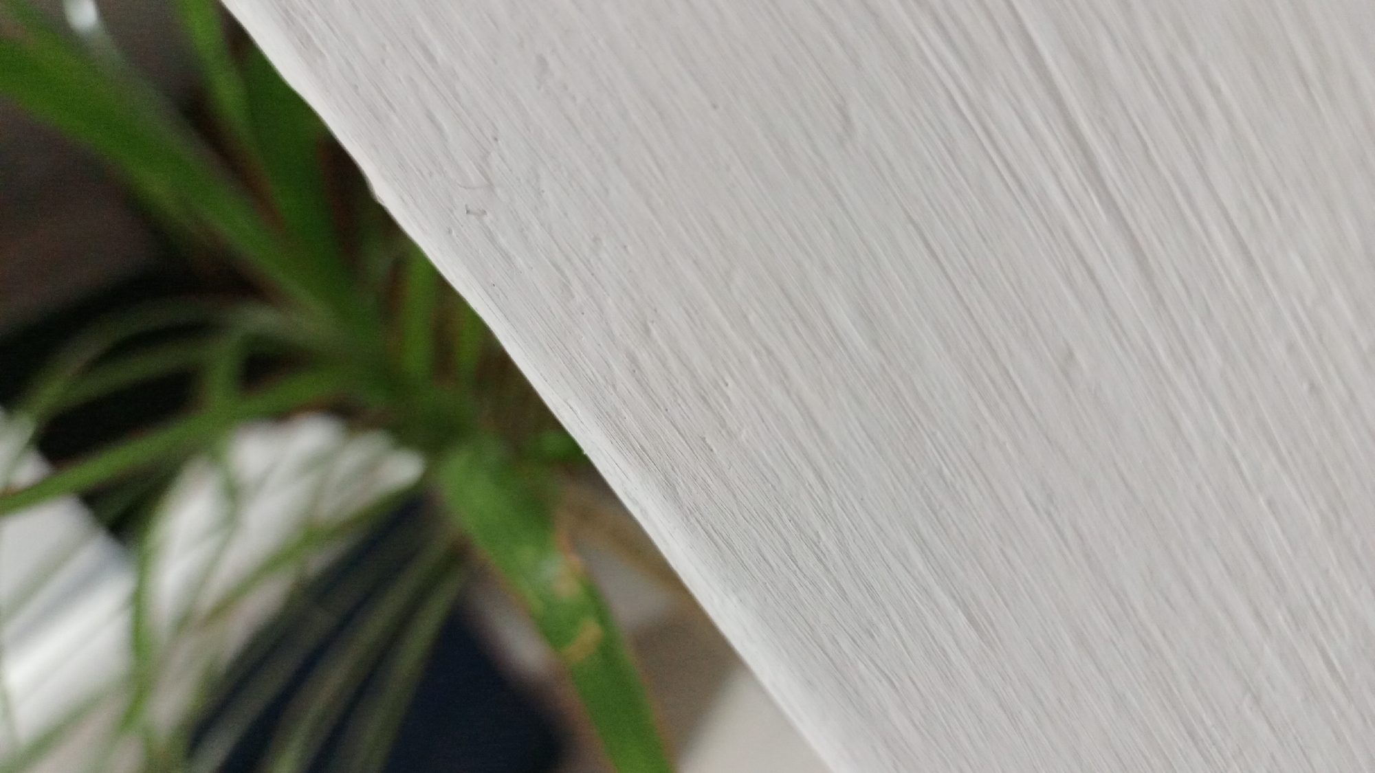 The image shows a close-up view of a textured, white surface, possibly a wall, with a plant partially visible in the blurred background. The plant has green leaves, and its exact type is difficult to determine due to the limited view and shallow depth of field. The texture on the white surface is characterized by lines and grooves, suggesting that it was painted or treated in a way that left noticeable brushstrokes or texture. The location in Los Robles, Venezuela is not discernible from the image alone, there is no additional information to deduce the location.
