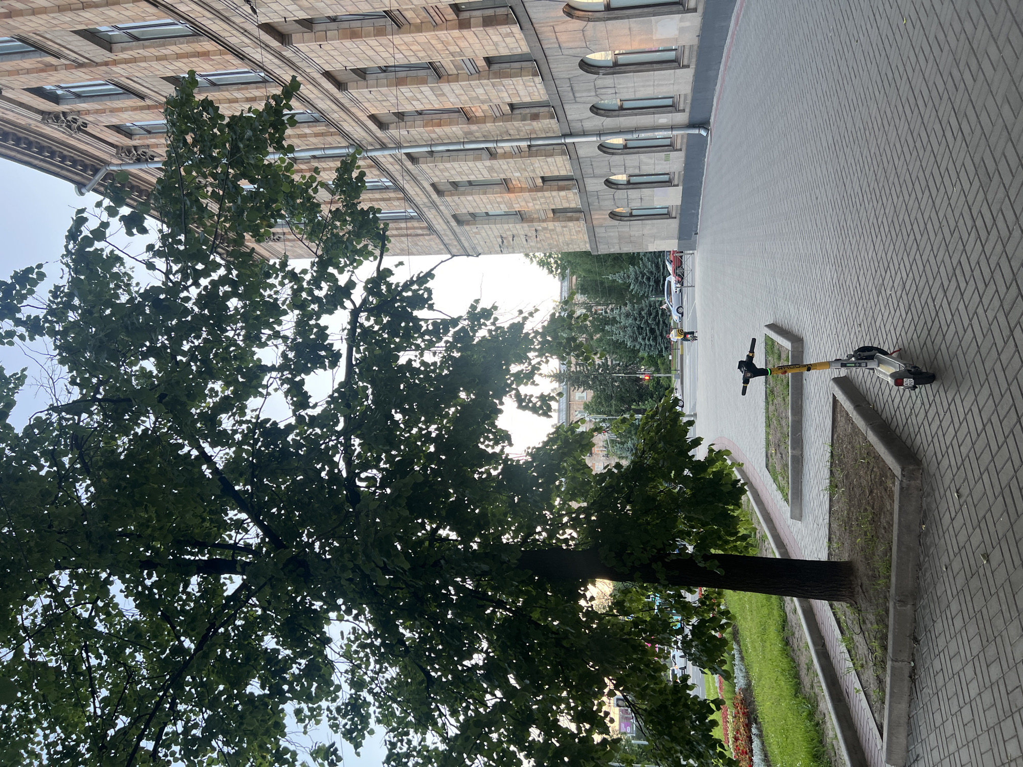 The image displays an urban street scene in Unknown, Russia, observed during late afternoon or early evening under clear sky conditions. In the left foreground, a prominent deciduous tree with dense green foliage and a dark brown trunk is situated within a raised, rectangular concrete-curbed bed. To the right of the tree, a yellow and white electric scooter, identified by a license plate "A74 227", is parked on a light grey paver sidewalk laid in a herringbone pattern. An empty, similarly curbed, rectangular bed with sparse dirt is present between the scooter and the tree.
Left of the tree, a strip of green grass and a flowerbed containing red, yellow, and white flowers borders a paved road. A light blue bus is partially visible behind the tree on the road, and further back, a silver sedan and a red sedan are present. A person on a bicycle, wearing a yellow top, is visible on the street near the silver car. Two indistinct figures walk on the far side of the street. Beyond the road, a line of conifer and deciduous trees suggests a green area or park. A red traffic light is partially visible on the far left.
The right side of the frame is occupied by a large, multi-story building featuring a light brown brick facade on its upper levels and a darker, possibly grey stone facade on the ground floor. The building exhibits numerous rectangular windows with dark frames on the upper floors and a series of arched windows on the ground floor. Architectural details include cornices and decorative elements. A vertical metallic downspout is visible on the facade. The building's exterior is illuminated by warm, low-angle sunlight. The sky, visible through the tree canopy and above the building, is light blue and clear.