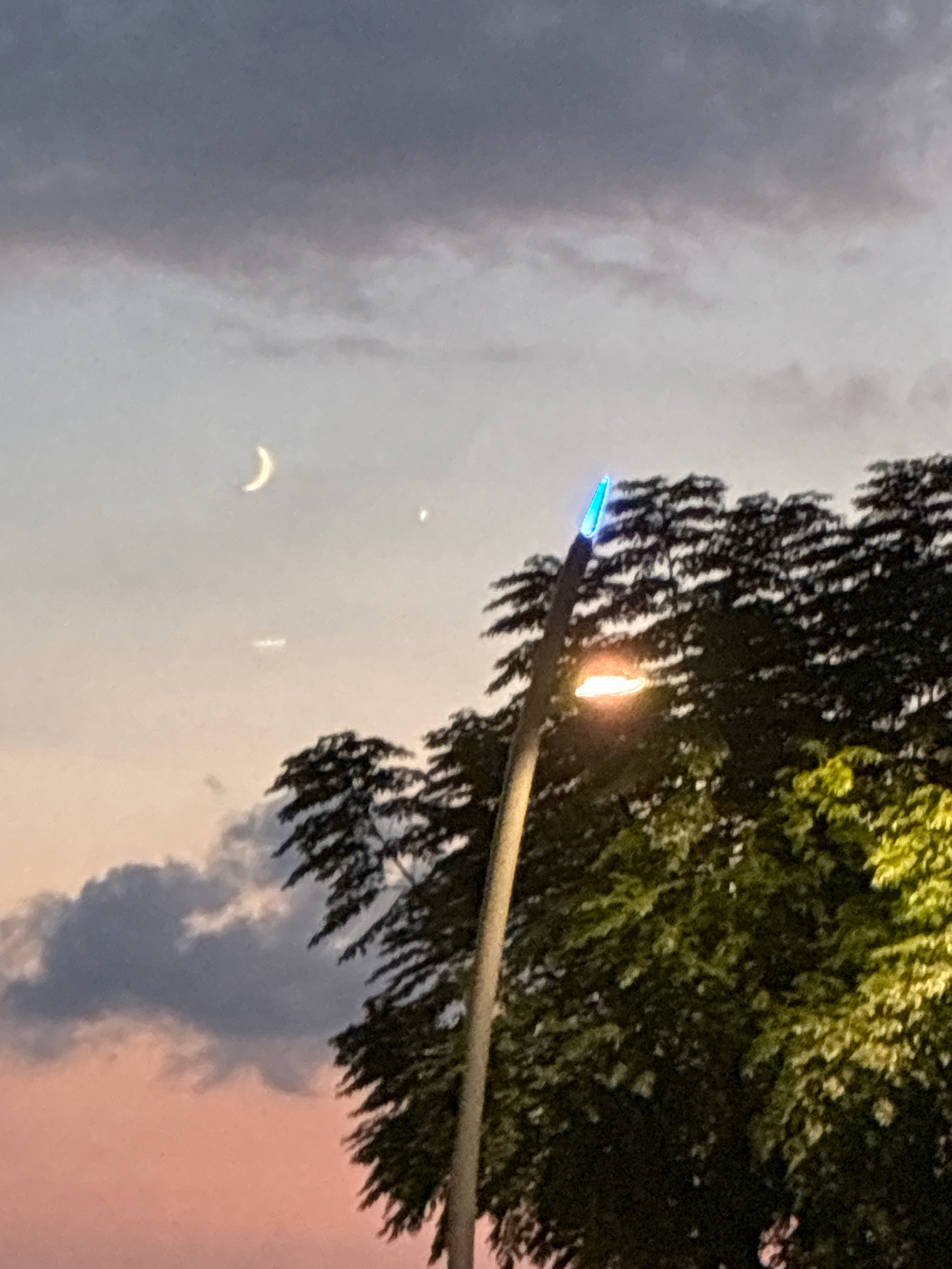 The image shows a sky with a crescent moon and some clouds. A streetlight is visible in the foreground, with its light illuminating the surrounding trees. The sky has hues of pink and orange, suggesting it is either sunrise or sunset. The scene appears to be an outdoor urban environment, likely a park or street in Alanya, Turkey, given the mention of the location. There are no people visible in the image. The overall atmosphere is calm and serene.