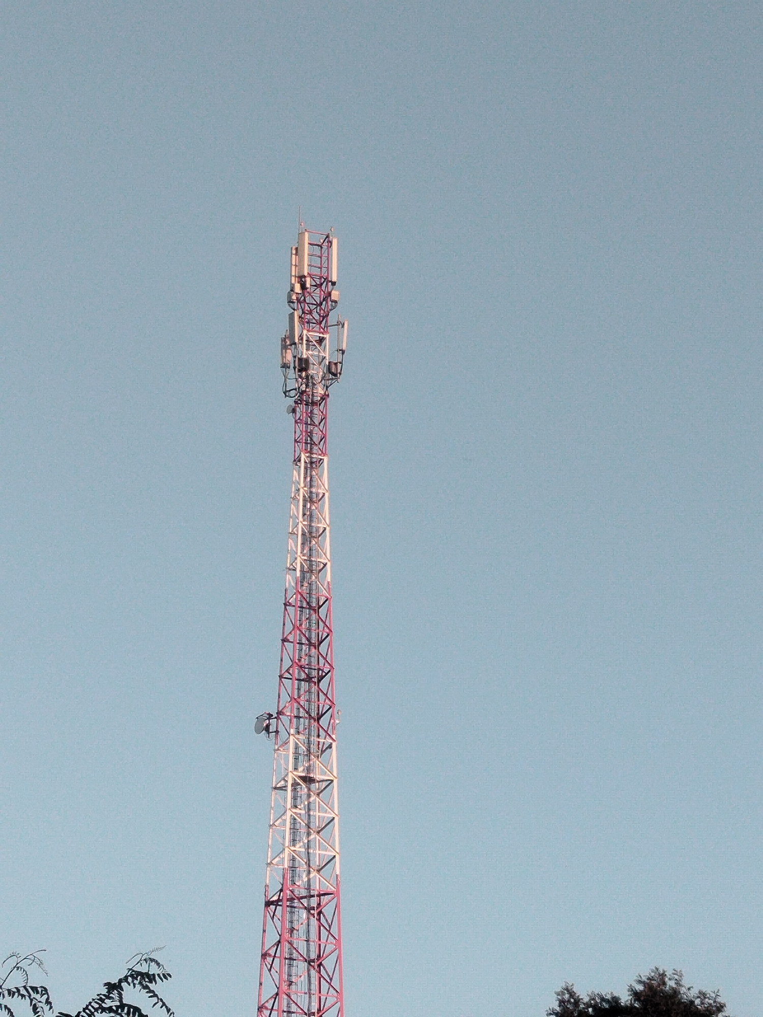 A tall, lattice telecommunications tower, painted white and red, stands against a clear, light blue sky. The tower has multiple antennae and dishes mounted on its upper section. In the foreground, the tops of silhouetted trees are visible at the bottom left and right of the frame. The image is a static, medium shot of the tower, with no people or discernible activity. The context of Zastavna, Ukraine is not visually apparent from the image itself, but is provided as location information.