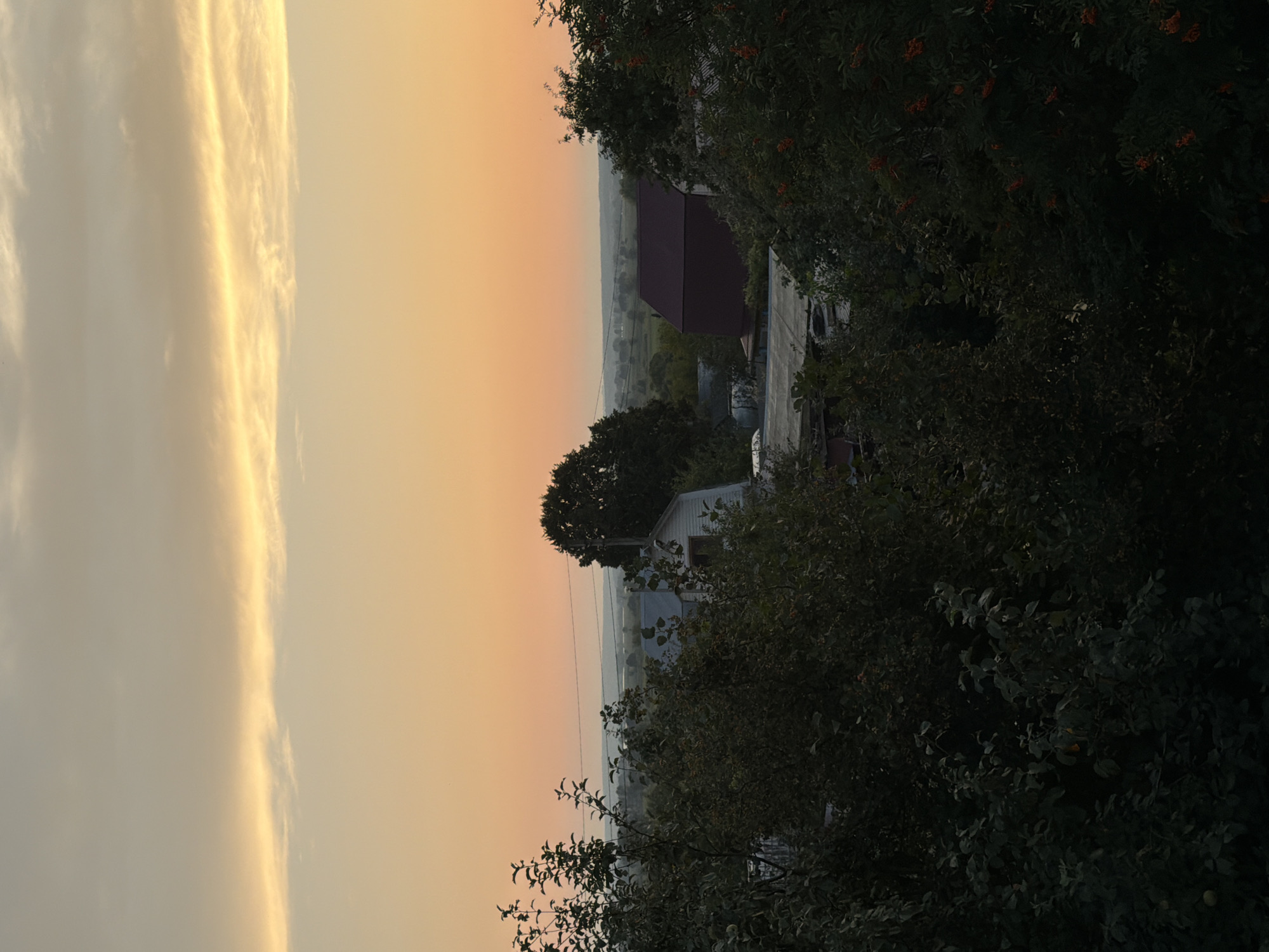 The image depicts a rural landscape at dusk, with a soft gradient of orange and yellow in the sky. In the midground, several houses with peaked roofs are visible, interspersed with trees and vegetation. The foreground is dominated by dark, lush trees and bushes, some bearing clusters of small red berries. A distant, hazy horizon line suggests a flat, open terrain. The scene is quiet and tranquil, conveying a sense of rural isolation. There are no people visible in the image, and no specific actions or interactions are taking place. The location is stated to be Nizhnekamsk, Russia.