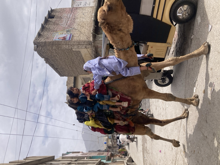 A camel is seen walking on a city street, carrying several children and a person. The children are seated behind a person dressed in light blue traditional attire, who is riding on the camel's neck. The camel has a saddle and is adorned with a beaded necklace. In the background, there is a yellow three-wheeled vehicle, buildings, and electrical lines. The street is lined with more buildings and people walking.