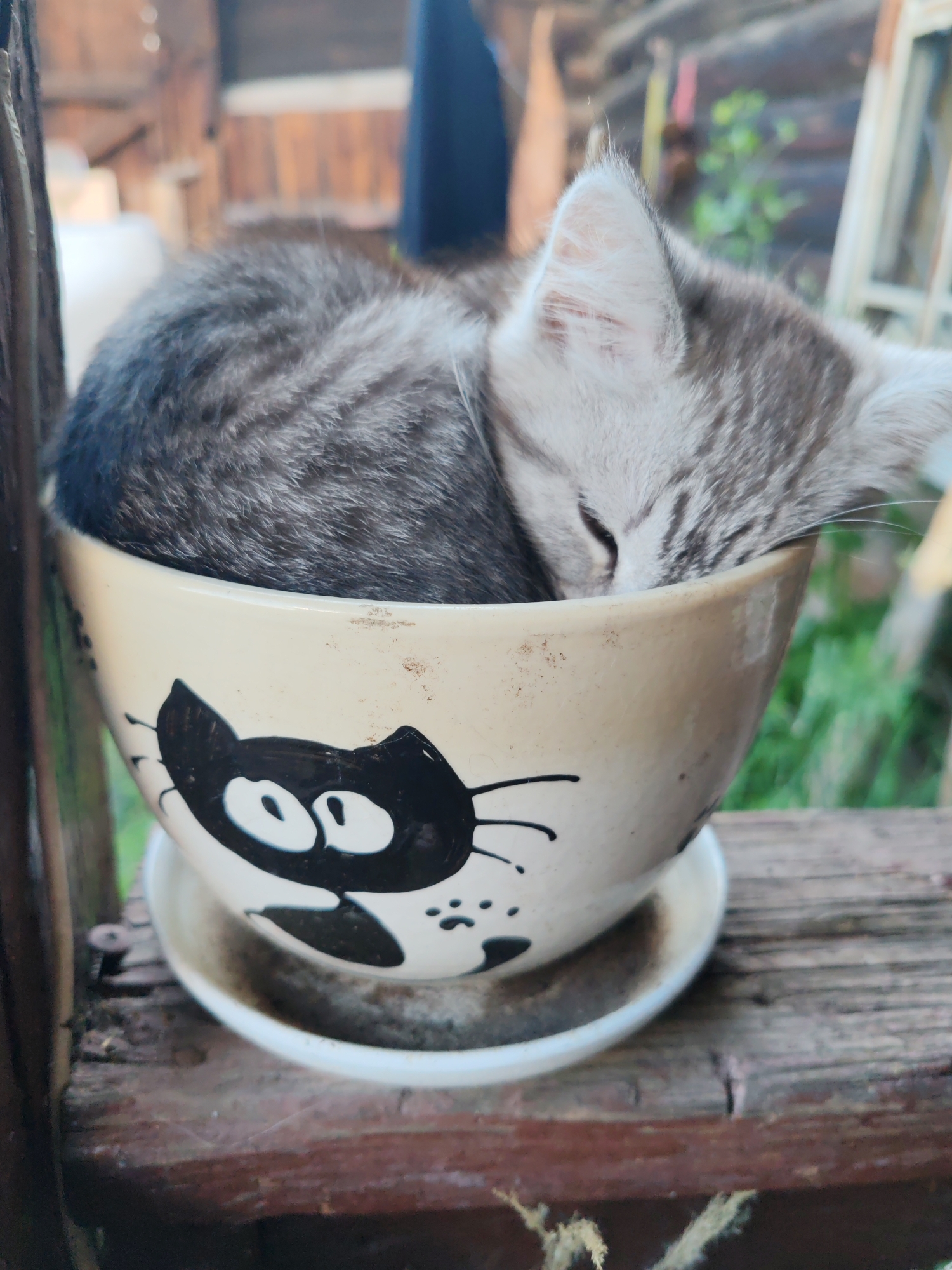 A very young kitten, appearing to be of tabby coloring, sleeps curled up inside a ceramic pot that has a black cartoon cat face painted on it. The pot sits on a saucer, and the ensemble is placed on a weathered wooden surface, likely a windowsill or outdoor railing, with a blurred background of greenery and wooden structures, possibly in a rural setting or backyard area. The scene appears to be outdoors, with natural light illuminating the kitten. The location within the city of Кашино, Russia, is not ascertainable from the image itself, and this context is therefore not included in the description.