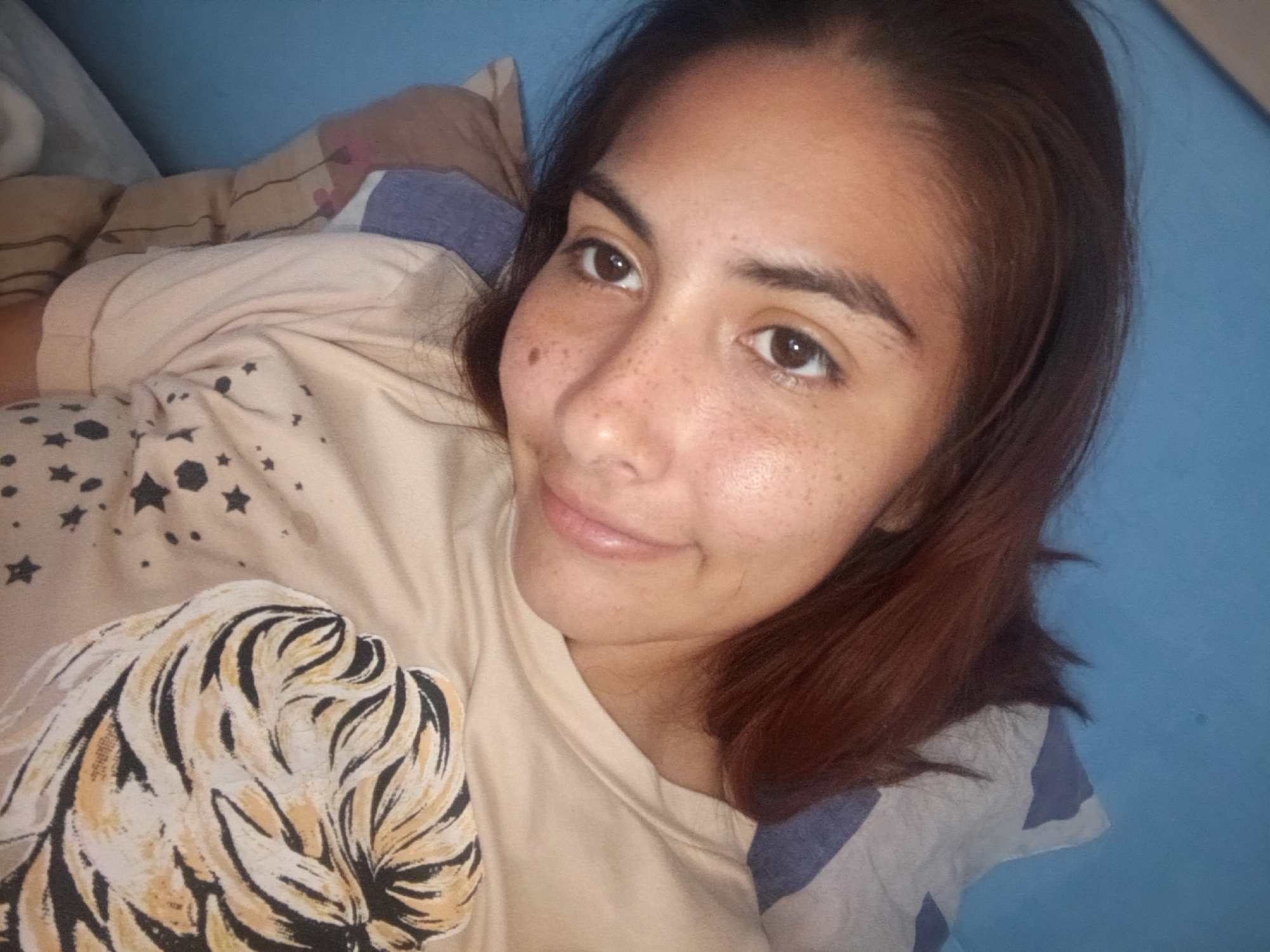 A young woman with brown hair and freckles lies on a bed, looking up at the camera. She is wearing a light-colored t-shirt with a graphic of a tiger's face and scattered stars. Her head rests on a pillow with a blue and white striped pattern, and a blanket is visible behind her. The background is a solid blue surface, possibly a wall. The lighting suggests it is daytime. The woman appears relaxed and is smiling faintly. The overall impression is of a casual, personal moment captured in a bedroom setting.