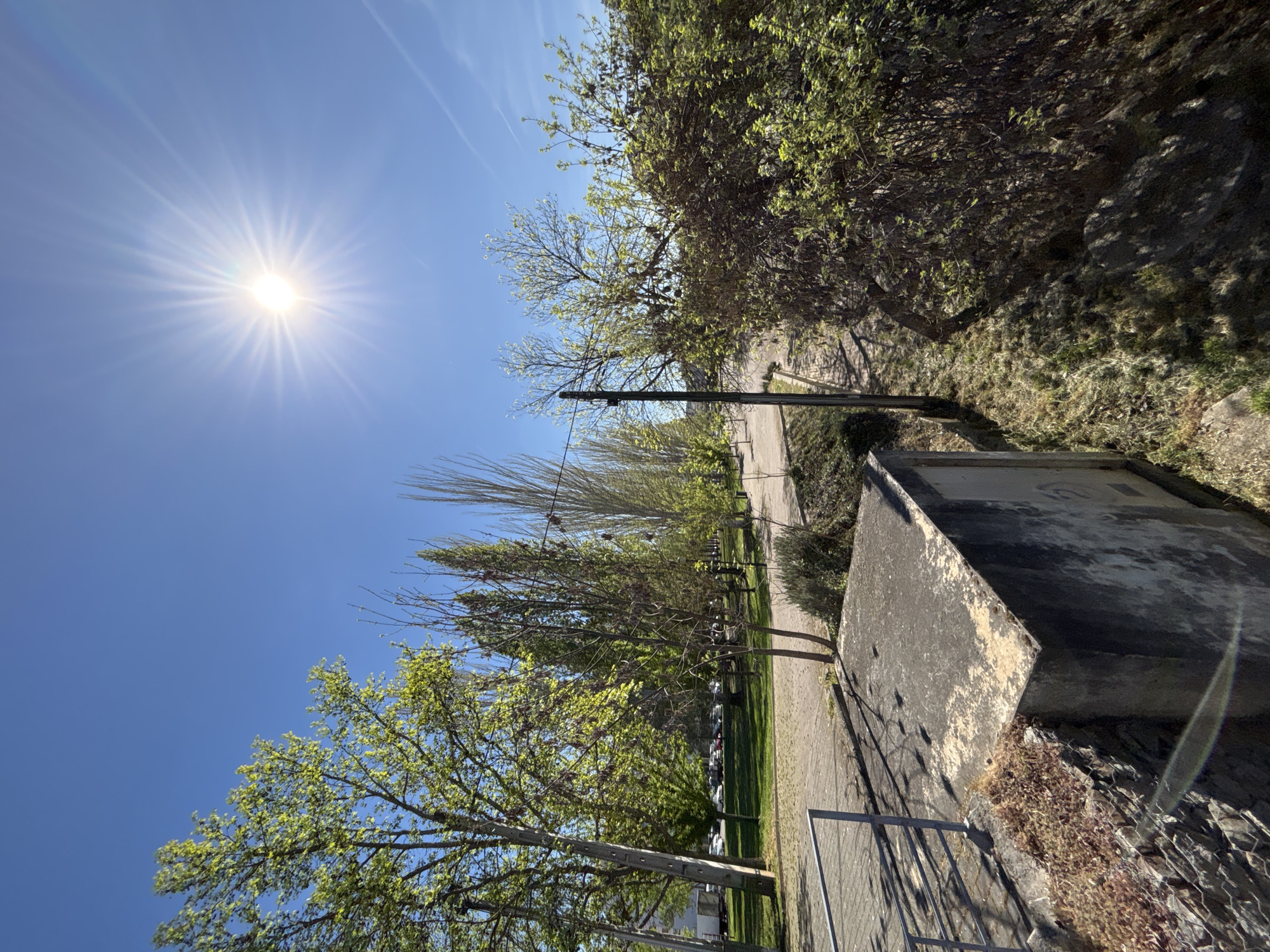 An exterior shot in the city of Mirandela, Portugal, features a partially obscured view of a street flanked by trees and greenery. The sun is positioned high in the sky, casting a strong glare and creating shadows. The street appears paved and lined with utility poles. On the right side of the frame, a large concrete structure or box is visible, situated next to a metal railing and some landscaping. Cars are parked along the street in the distance. The weather appears sunny and clear.