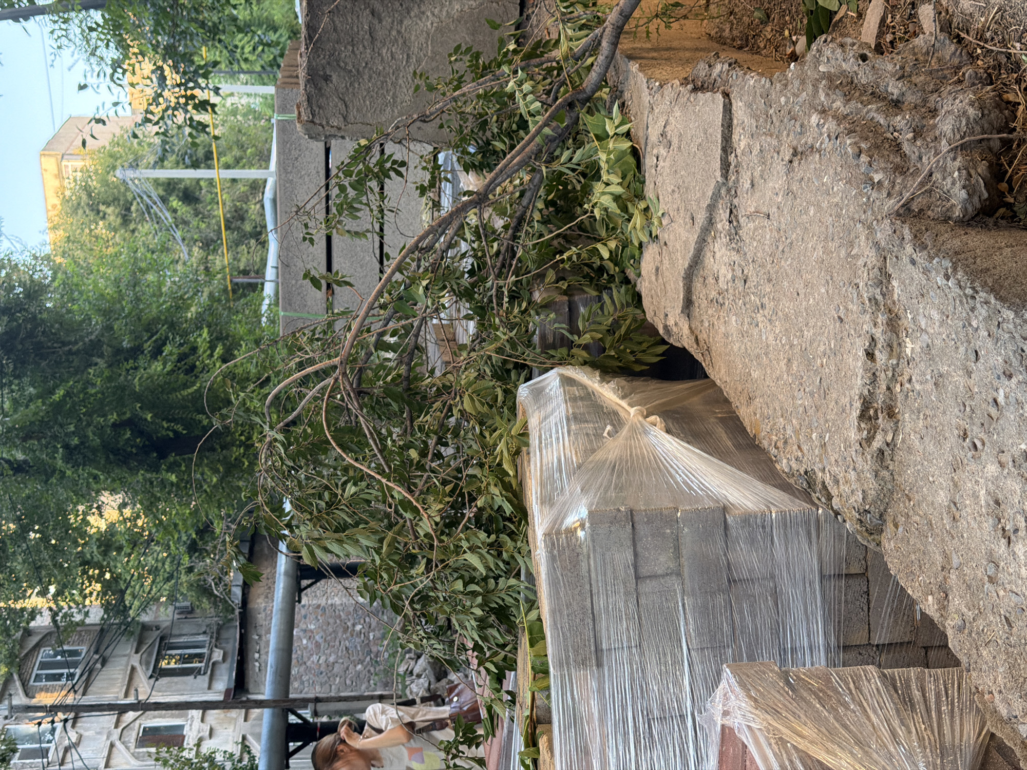 In Shymkent, Kazakhstan, a fallen tree branch with green leaves rests across stacks of grey paving stones wrapped in clear plastic. The paving stones are positioned on a concrete ledge. In the background, a multi-story building with white windows and decorative architectural elements is visible, partially obscured by trees. A person with light-colored clothing and a bag is partially visible on the left side of the image. Power lines and a yellow pipe are also present in the background. The overall scene appears to be an outdoor urban setting, possibly a construction site or a street.