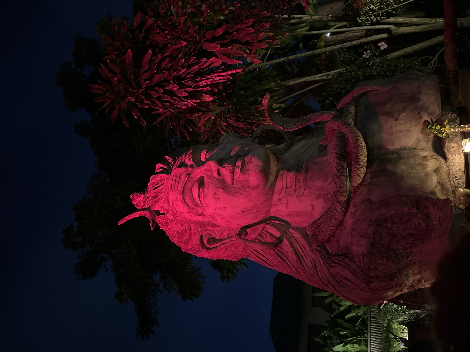 The image depicts a stone sculpture of a reclining head with a snake coiled around it. The sculpture is illuminated with a red light, giving it a striking, almost surreal appearance. The backdrop consists of dark foliage, including a plant with dense, red leaves. The sky is a deep blue, suggesting it is nighttime. The location is Mengwi, Indonesia.