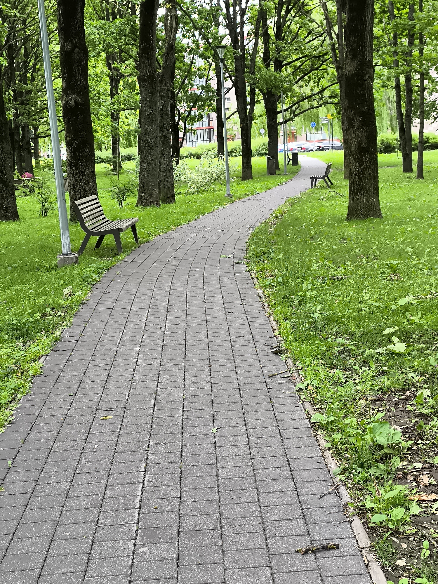 The image shows a paved walkway curving through a park. The walkway is made of dark grey rectangular pavers. To the left of the walkway, there is a green lawn with scattered trees and a single wooden bench. To the right of the walkway, there is also a green lawn with more trees and another bench visible further down the path. In the background, beyond the trees, buildings and parked cars can be seen, suggesting an urban park setting. The presence of mature trees and well-maintained greenery indicates this is likely a public park in the city of Klaipėda, Lithuania. The lighting suggests it is daytime, and the overall atmosphere is peaceful and serene. No people are clearly visible in the image, though there is a hint of a person on a bench in the far left background.