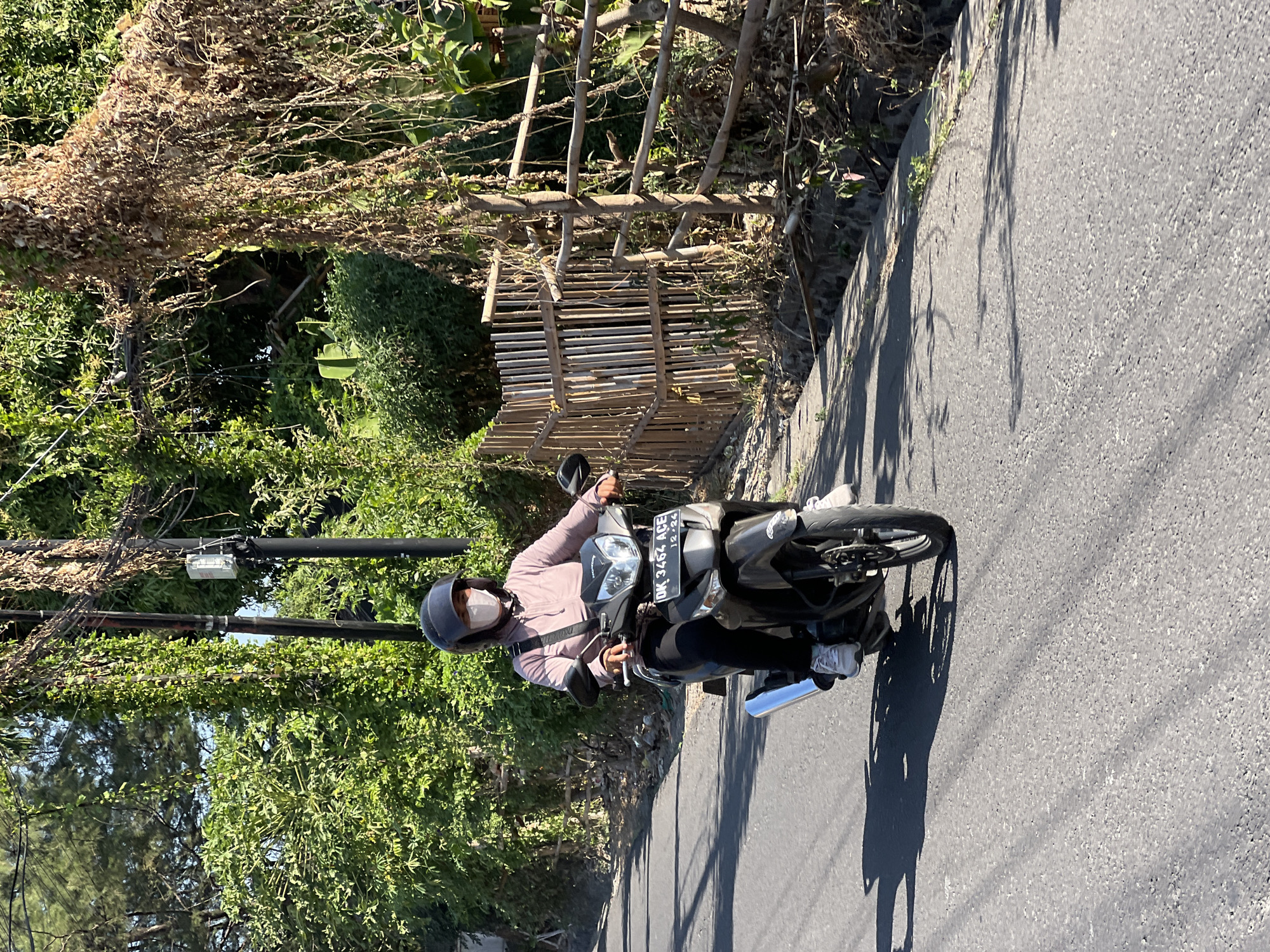 A person wearing a pink jacket, black pants, white sneakers, a black helmet, and a light-colored face mask rides a dark-colored motorcycle on an asphalt road in Denpasar, Indonesia. The motorcycle has a license plate with the text "DK 3462 ACE" and "12-24". The road is lined with lush green vegetation, including trees and vines, some of which are dry and hanging from utility poles. A bamboo fence is visible on the right side of the road, partially obscured by foliage. The sun is shining brightly, casting shadows on the road. The overall scene depicts a sunny day in a tropical urban environment.