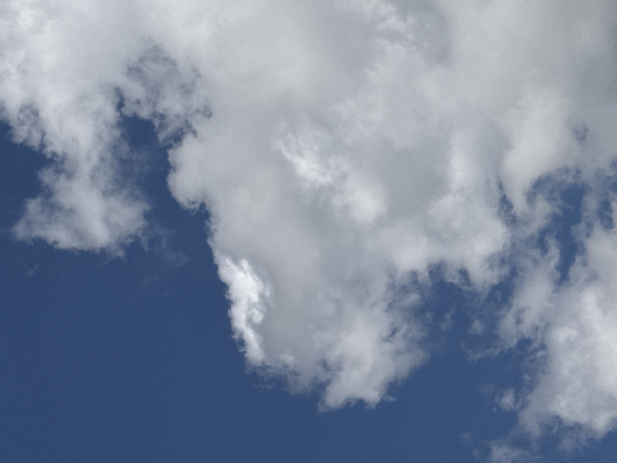 A close-up, vertical shot features a patch of deep blue sky on the left, juxtaposed with large, fluffy white clouds dominating the right side of the frame. The clouds are textured and appear to be cumulus formations. No specific landmarks or urban features of Dobrich, Bulgaria, are identifiable within this abstract image of the sky.