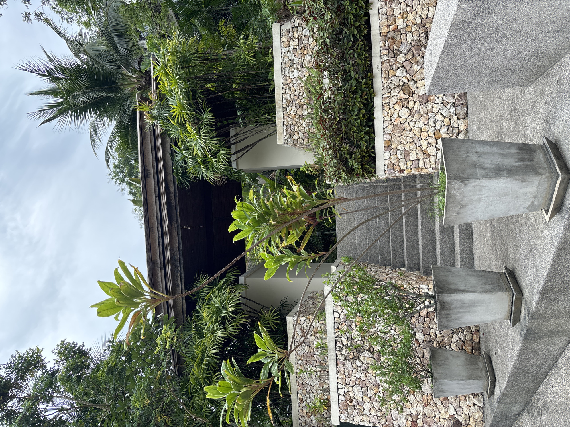 The image depicts an outdoor scene with lush greenery and a stone-clad walkway leading to an elevated structure with a wooden overhang. In the foreground, three large concrete planters contain various plants, with two smaller potted plants on a lower level. The planters are arranged on a concrete pathway that curves around a tiered stone wall. The stone wall is constructed from irregularly shaped, natural stones in varying shades of brown, beige, and gray, and it supports a level of dense, dark green shrubbery. Beyond the shrubbery, more stone wall and vegetation are visible. A set of concrete stairs ascends to the right of the image, leading towards the elevated structure. The structure itself is partially visible, featuring white walls and a wooden roof with exposed beams. The surrounding environment is characterized by abundant tropical foliage, including palm trees and broad-leafed plants, suggesting a warm, possibly humid climate. The sky is overcast, with visible clouds. No people are present in the scene.