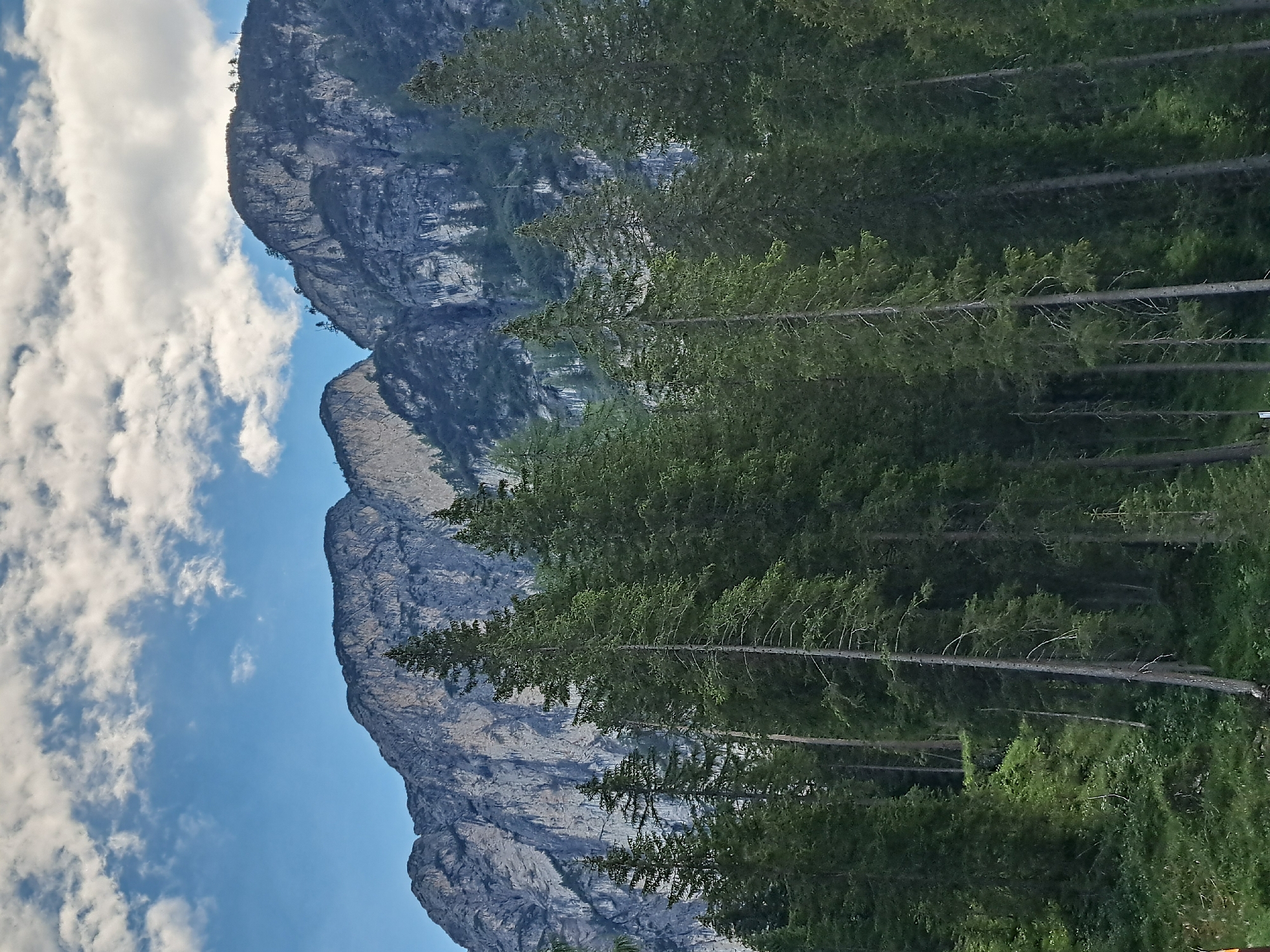 The image depicts a serene mountain landscape with a dense forest in the foreground and majestic, rugged mountains in the background. The sky is a vibrant blue, dotted with scattered white clouds, suggesting pleasant weather. Tall, evergreen trees, primarily conifers, dominate the lower half of the frame, their branches reaching towards the sky. The trees are a rich, deep green, creating a lush and natural atmosphere.
Behind the forest, imposing mountains rise, characterized by their steep, rocky faces and varied textures. The mountain slopes are a mix of grey rock and dark green vegetation, with visible striations and crevices that speak to their geological formation. Some of the peaks are sharp and pointed, while others are more rounded and broad. A few sparse trees can be seen clinging to the upper reaches of the mountains. The overall impression is one of untouched natural beauty and grandeur.
There are no people or animals visible in the image, nor are there any man-made structures or objects that would indicate a specific location within a city. The scene is purely natural and undeveloped, evoking a sense of wilderness and solitude. The lighting suggests it could be daytime, with natural light illuminating the scene. The image appears to be a landscape photograph, likely taken from a lower elevation looking up towards the mountains.