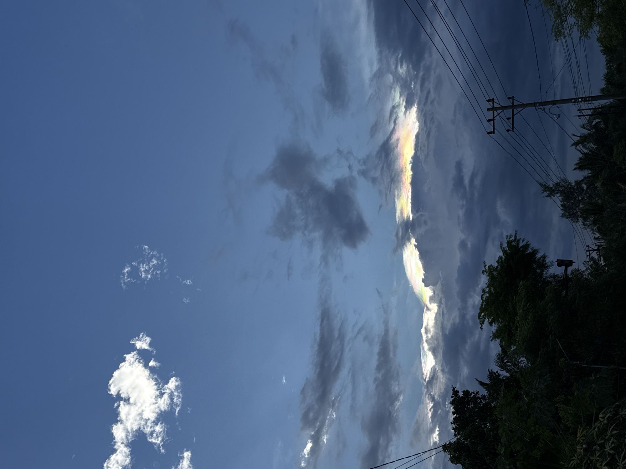 The image shows a daytime sky above what appears to be Lhokseumawe, Indonesia, judging by the lush vegetation and presence of utility poles and wires typical of a residential area. A significant portion of the sky is a clear, bright blue, while other sections are filled with layered clouds, some of which are dark grey. A striking iridescent cloud formation stretches vertically near the center, displaying a spectrum of colors. The scene is slightly rotated. Trees and other greenery fill the lower right corner of the image, obscuring the ground. Utility poles and wires are visible against the cloud backdrop.
