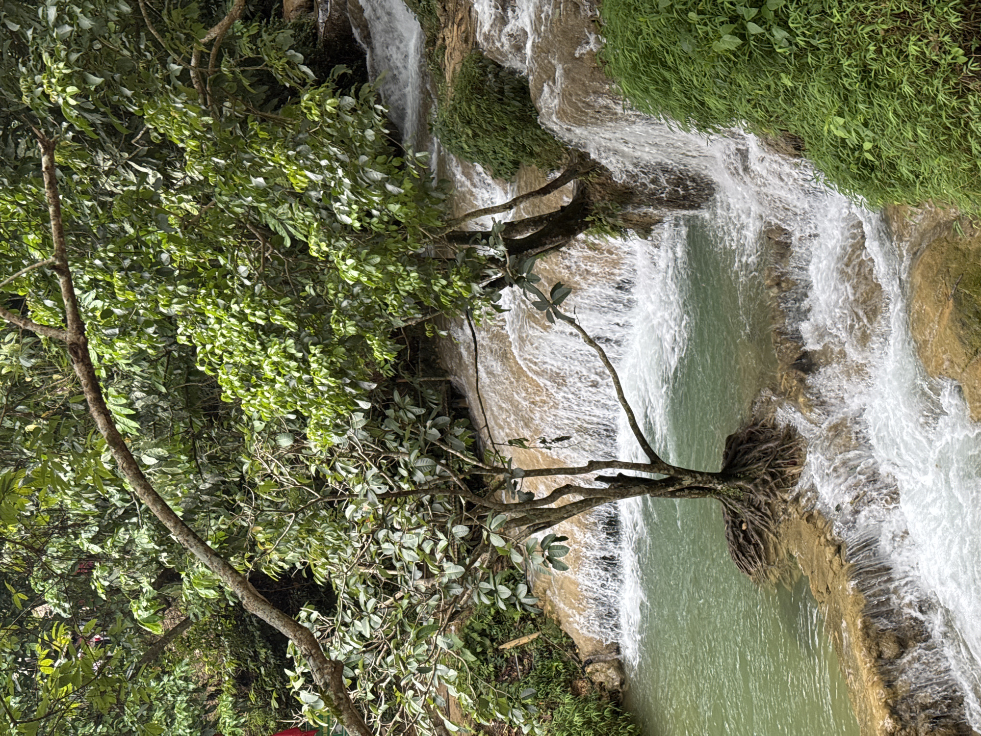 The image depicts a lush, multi-tiered waterfall in Cổ Lũng Commune, Vietnam. The water is a clear, greenish-blue, cascading over beige, rocky tiers. Dense green foliage, including trees with visible roots exposed on small rock islands, surrounds the waterfall. In the upper left background, partially obscured by trees, are several individuals wearing casual clothing, suggesting they are tourists or visitors. The overall scene is one of natural beauty and tranquility, with the focus on the interplay between the water, rock, and abundant plant life.